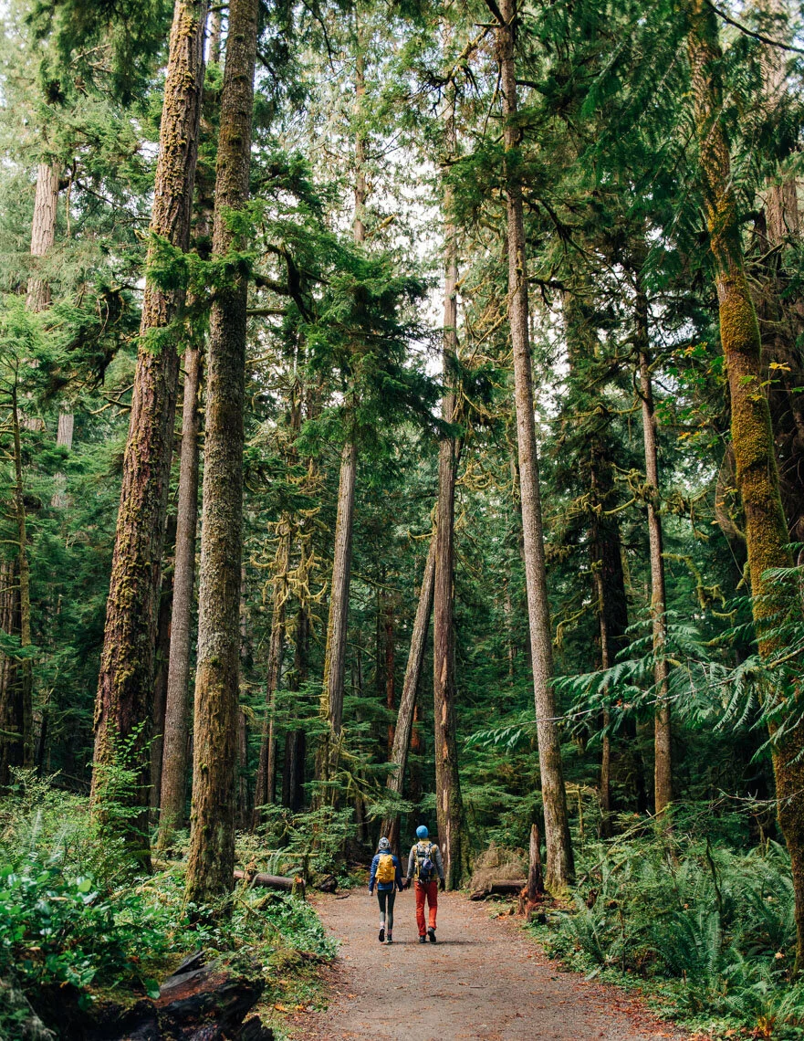 Chevrolet  @jose_mandojana