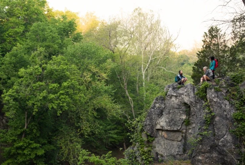 Screen Shot 2015-10-15 at 4.29.52 PM.png