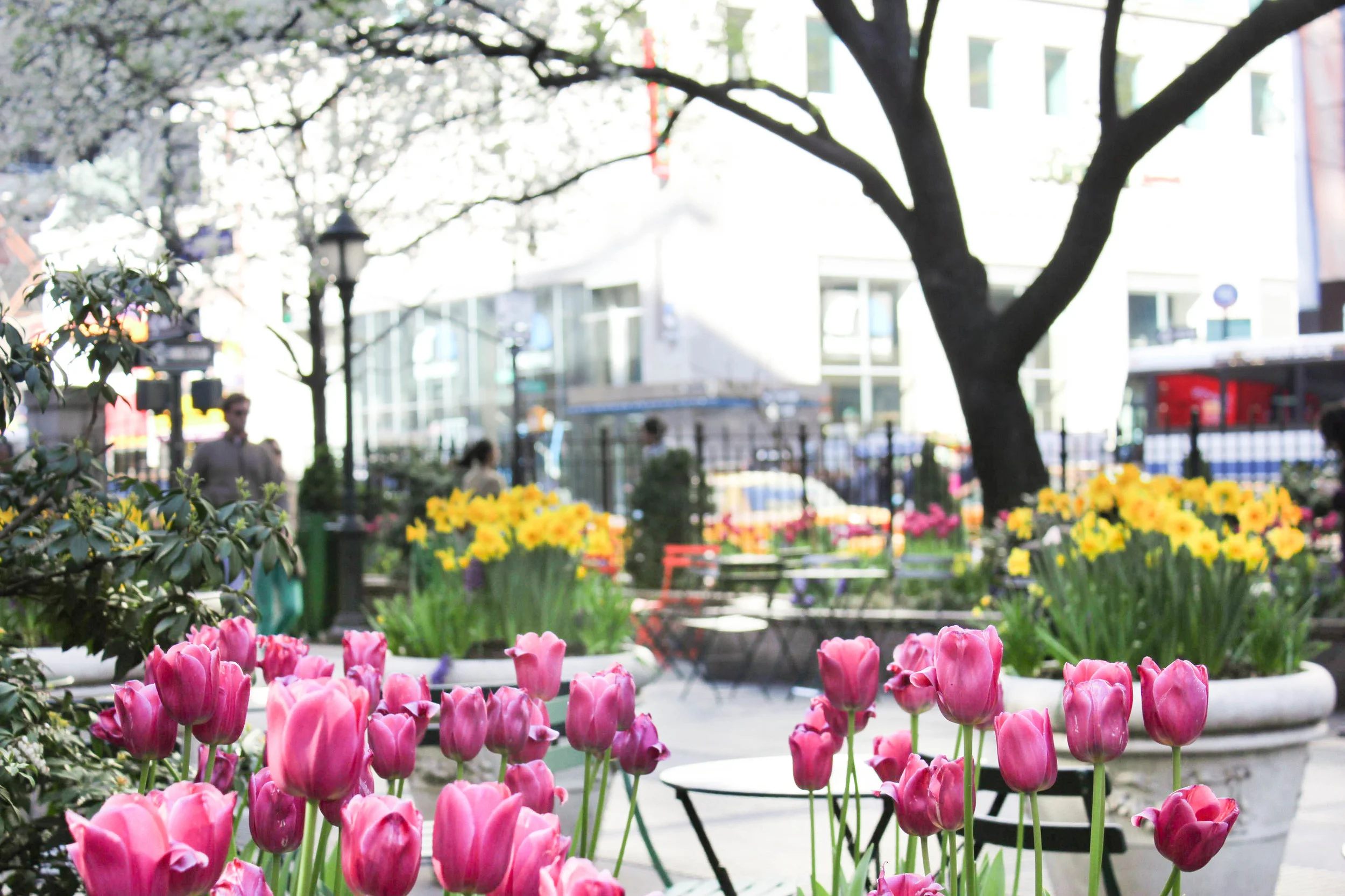 Herald Square seating area