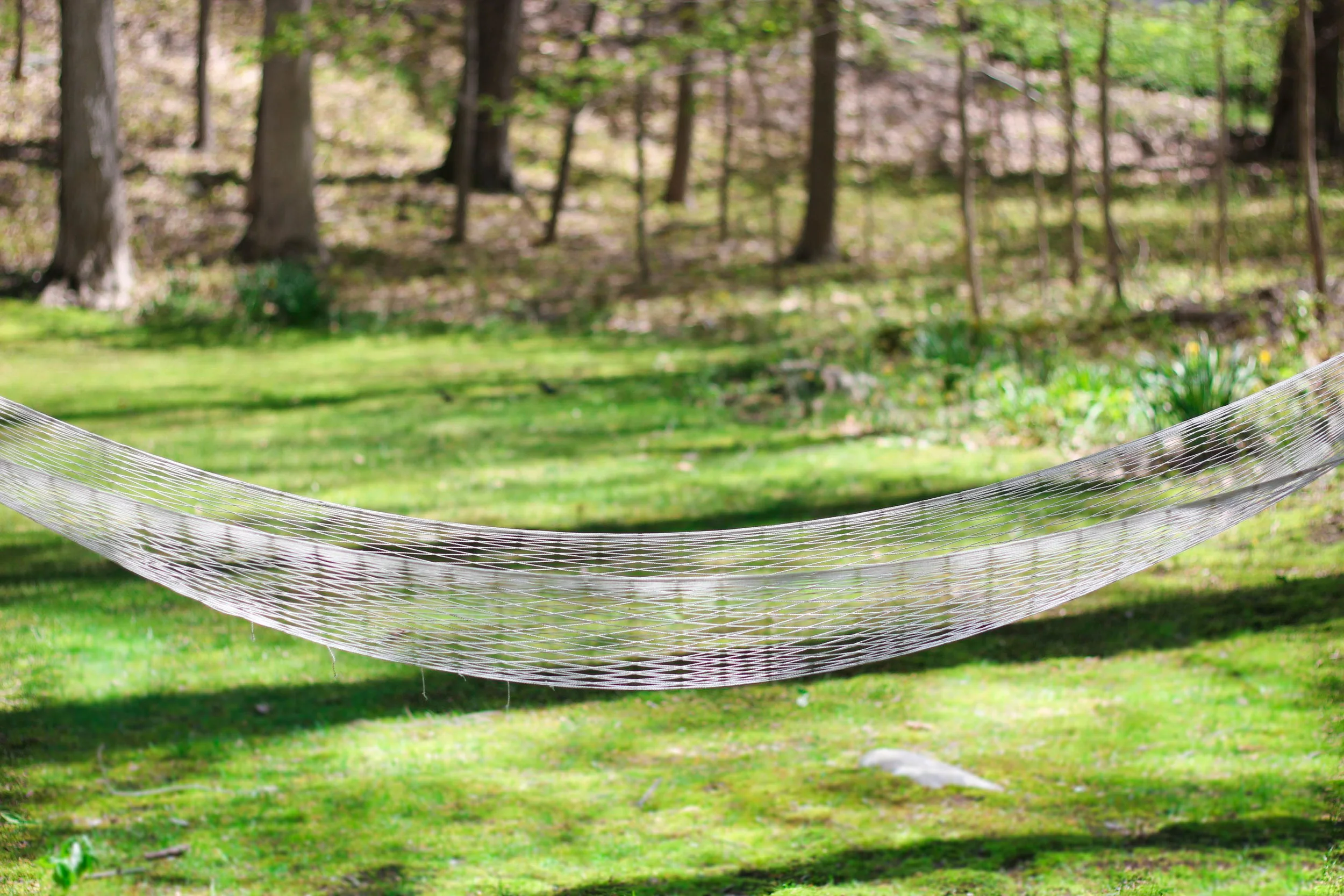 hammock in our backyard, the perfect reading spot
