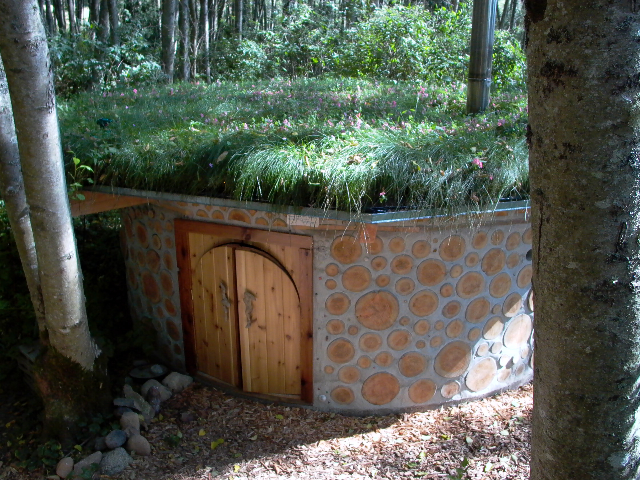 sauna lush.jpg