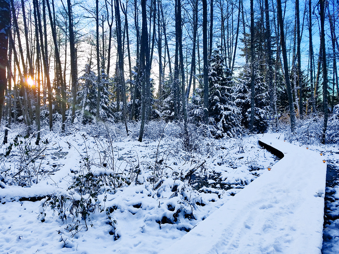 Winter Boardwalk 2.jpeg