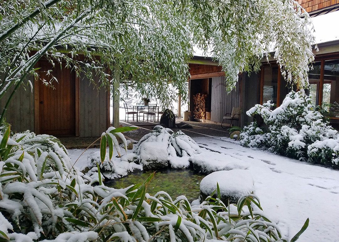 Winter Main & Studio Entrance.jpeg
