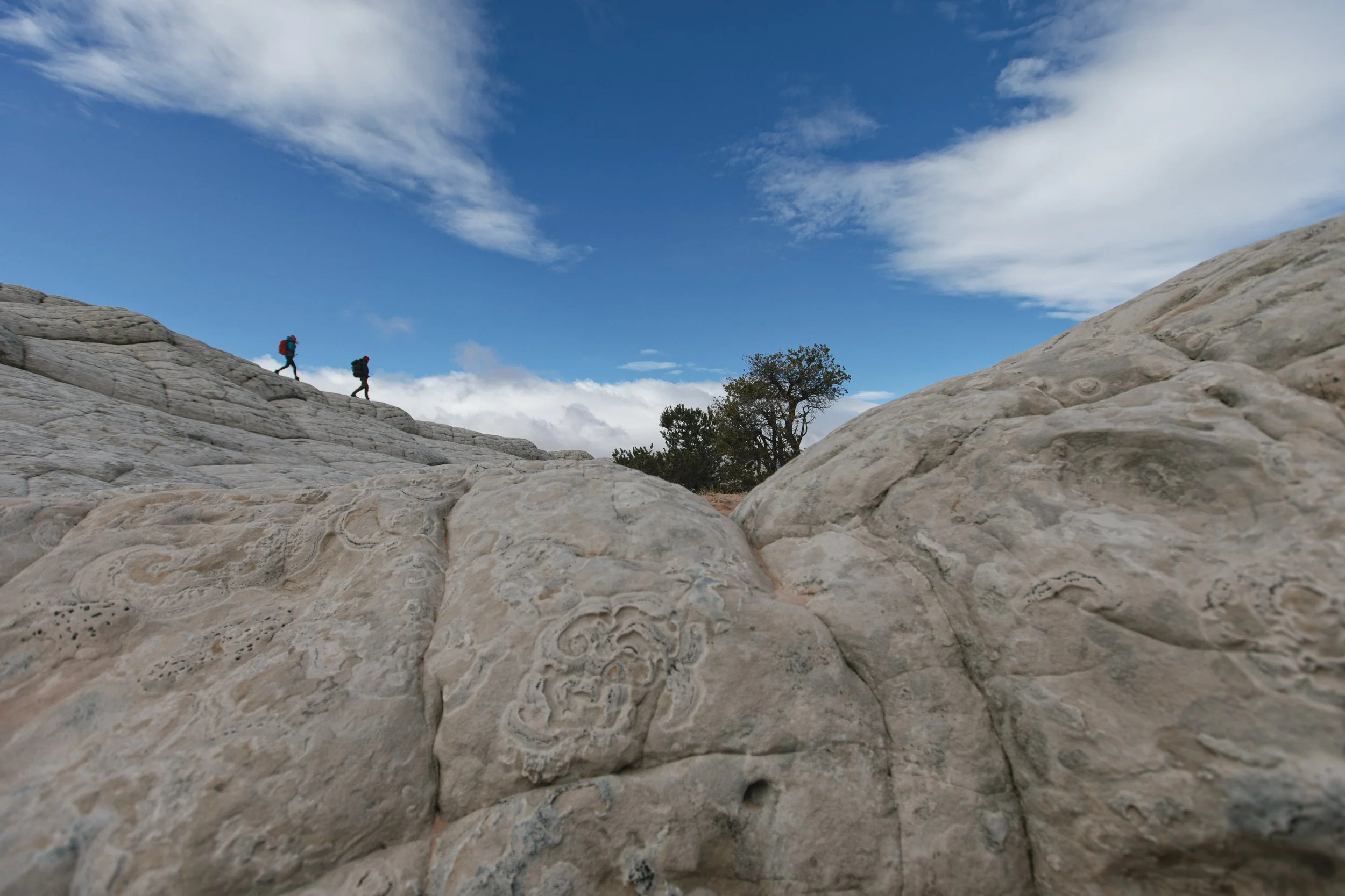 Foster_adventure.010.jpg