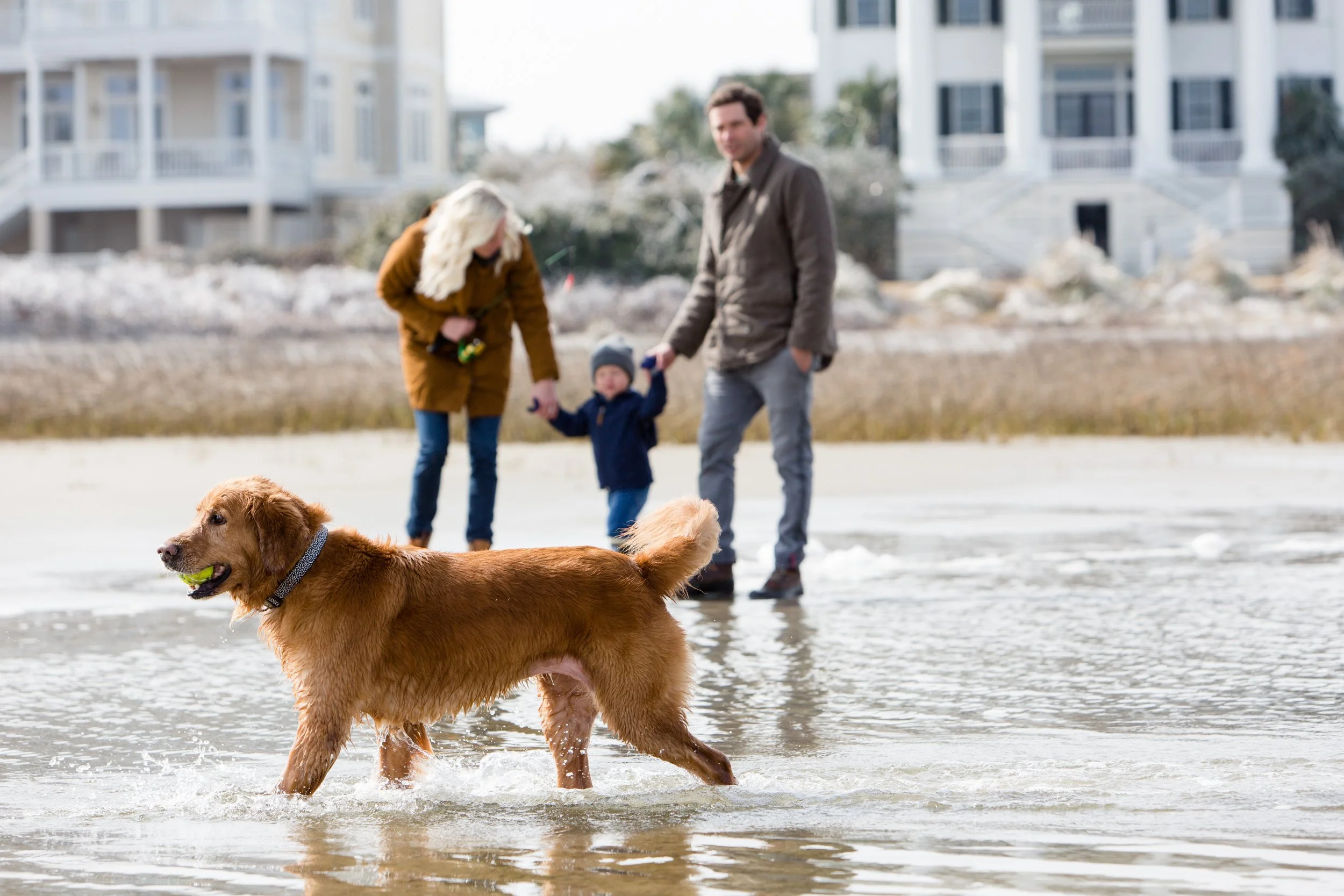 Foster_adventure.040.jpg