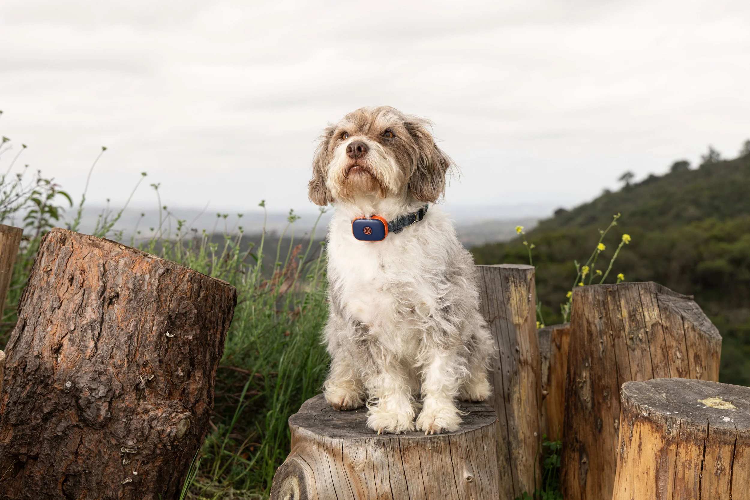 Foster_adventure.052.jpg