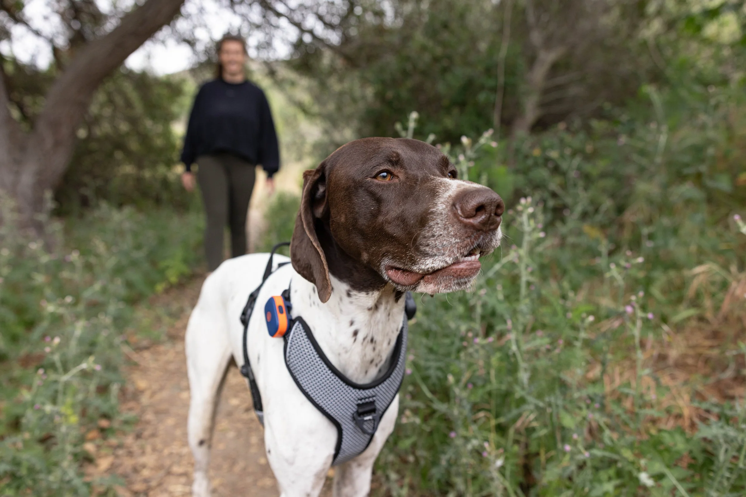 Foster_adventure.055.jpg