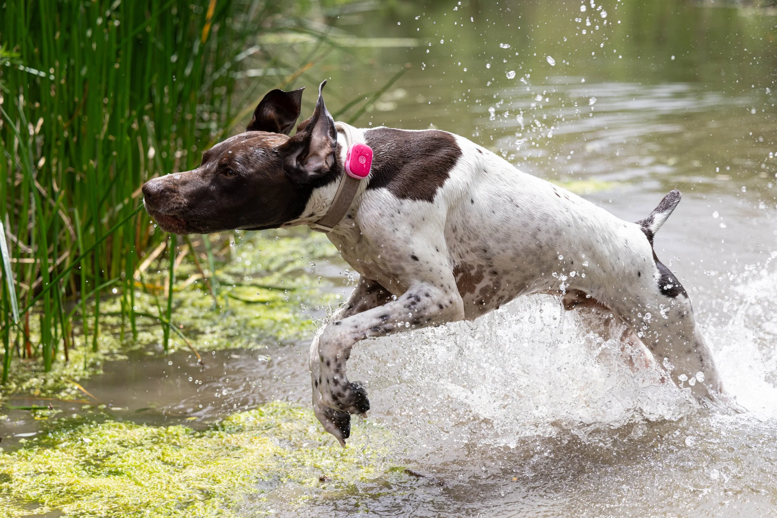 Foster_adventure.056.jpg