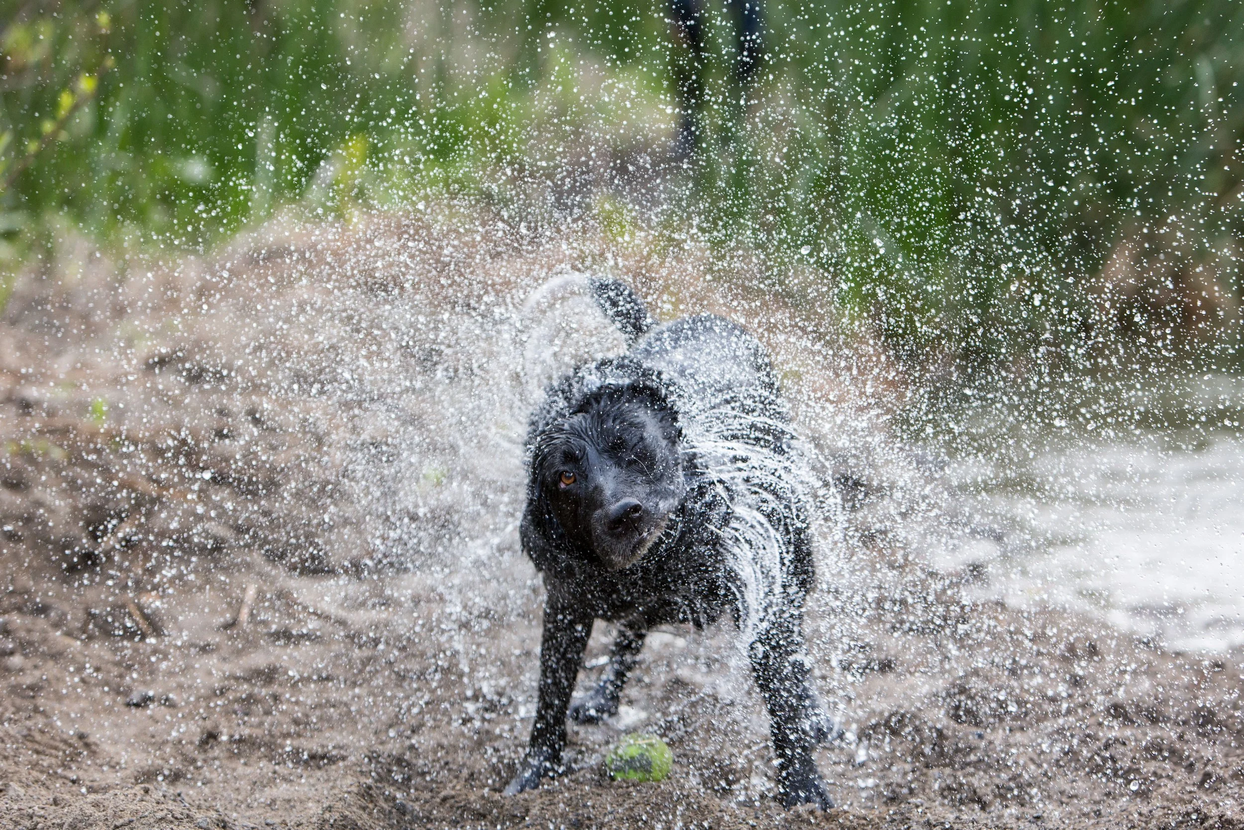 Foster_adventure.057.jpg
