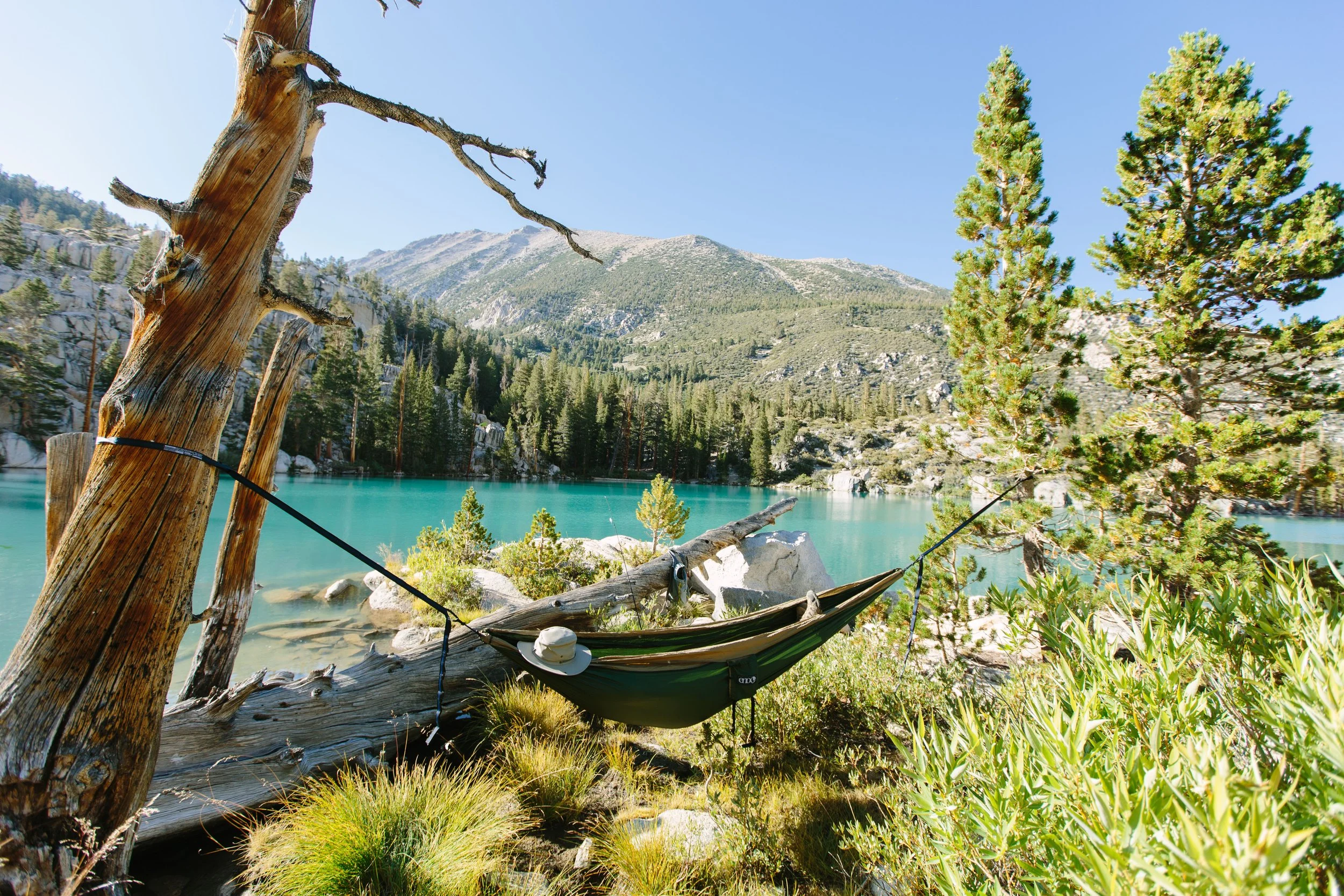 Foster_adventure.103.jpg