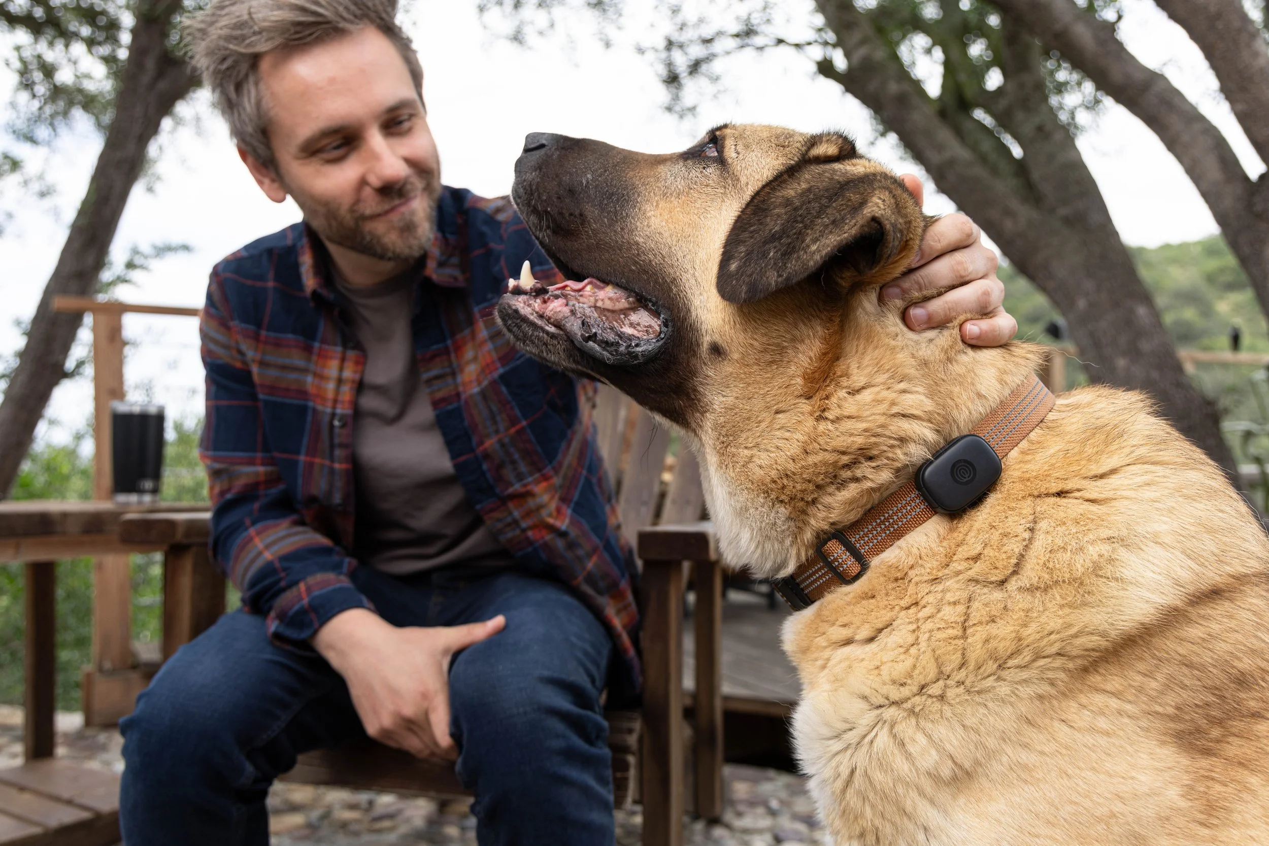 RF_dogs.29.jpg