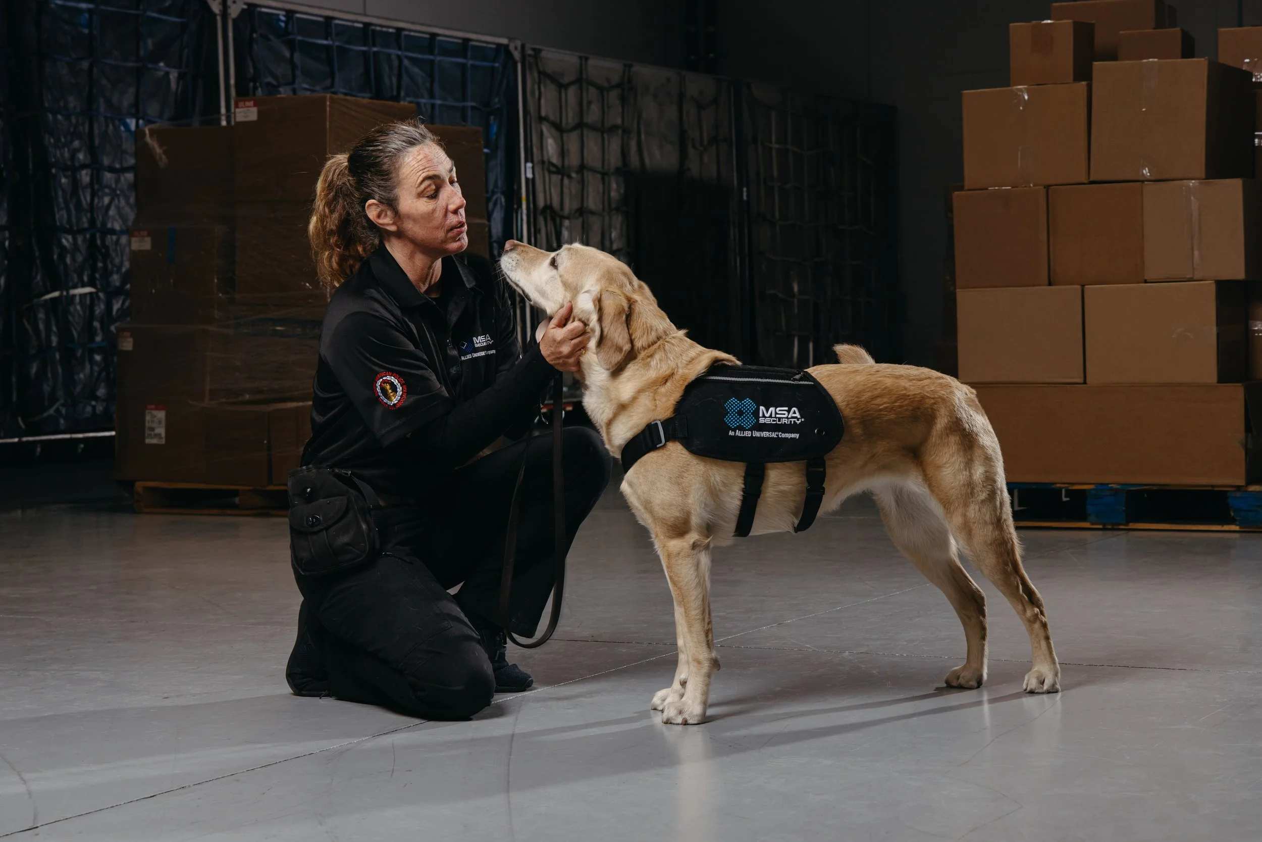 RF_dogs.70.jpg