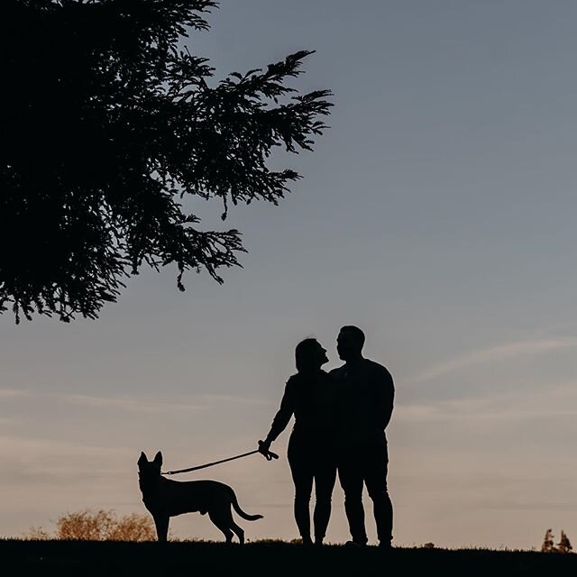 Kiley and Dave were all about unique SF locations for their engagement session, which was super fun for me. I got to photograph in three new locations and get to know one of my 2020 couples even better. 💕 #leebrownphotos #engagementphotos #sfengagem