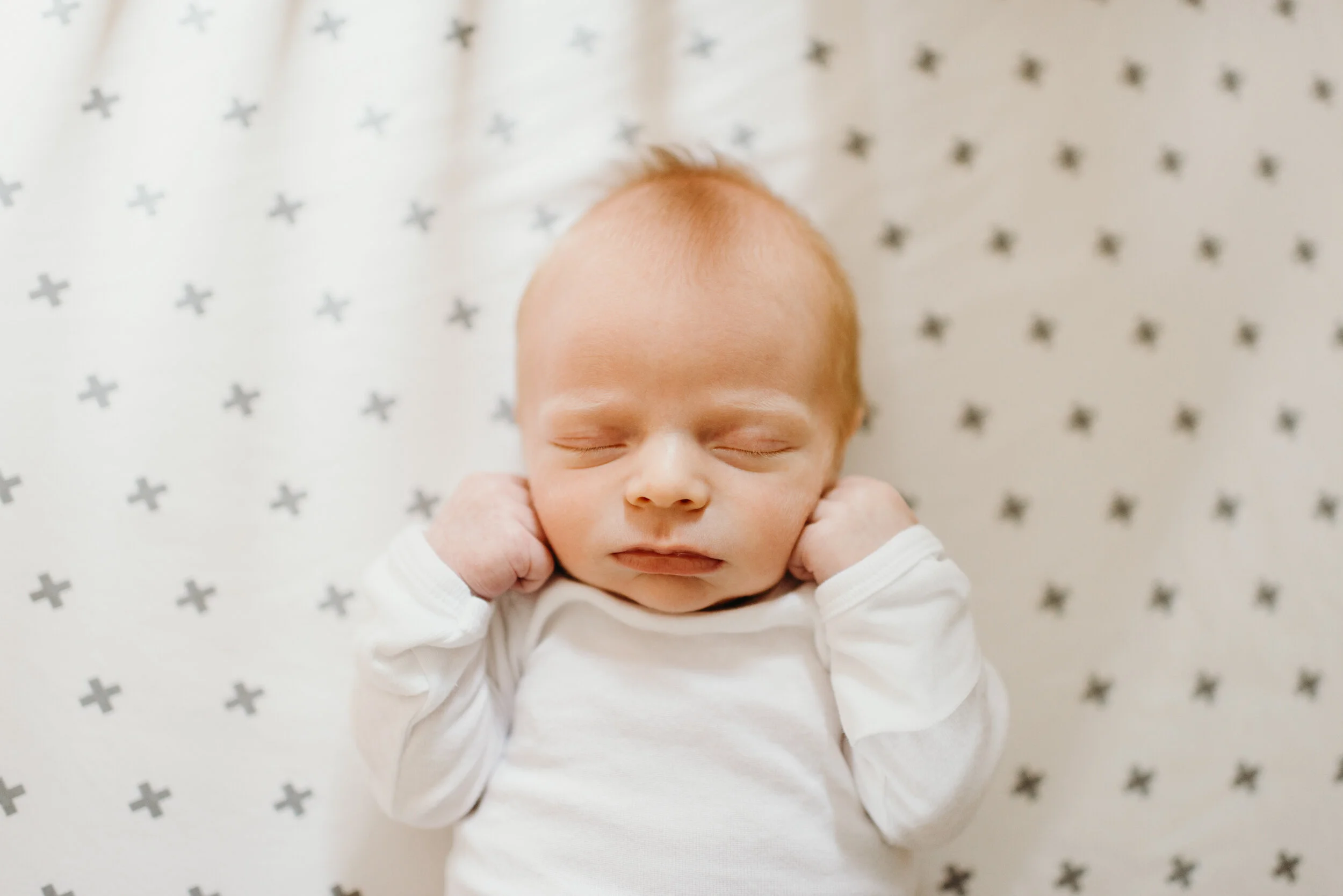 Baby Teddy