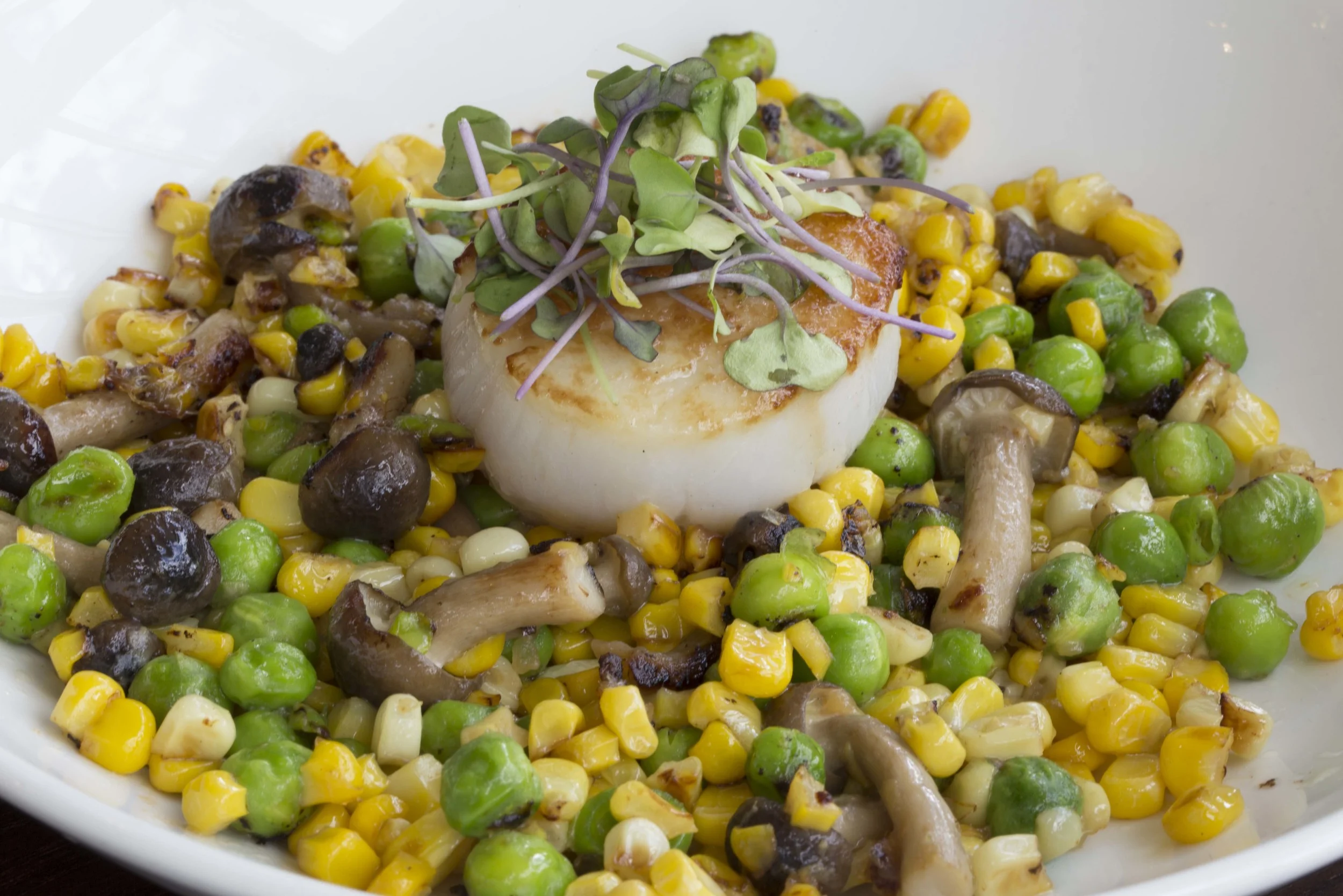 Scallop_Succotash.jpg