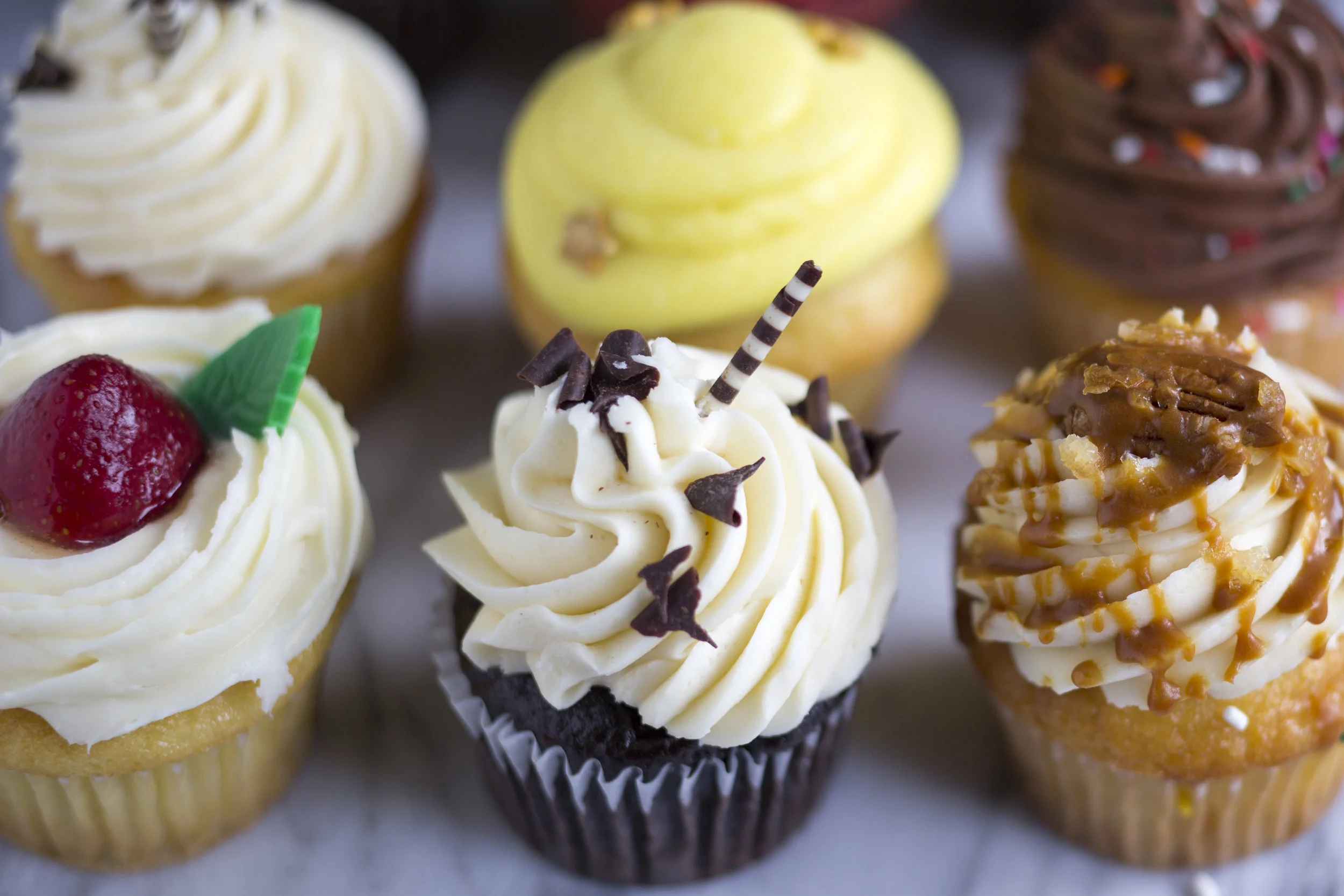 cupcakes_MG_0104.jpg