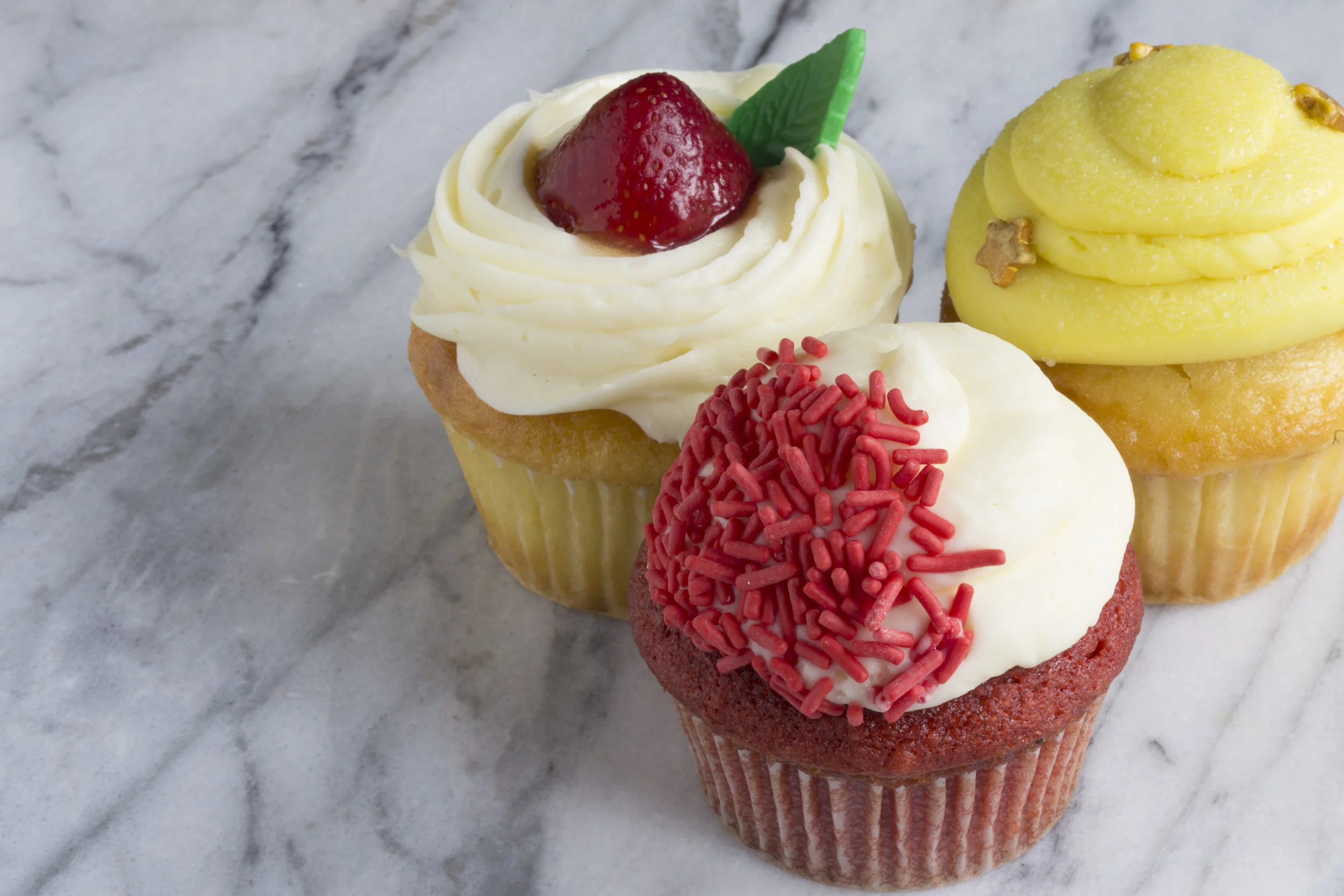 cupcakes_MG_0110.jpg