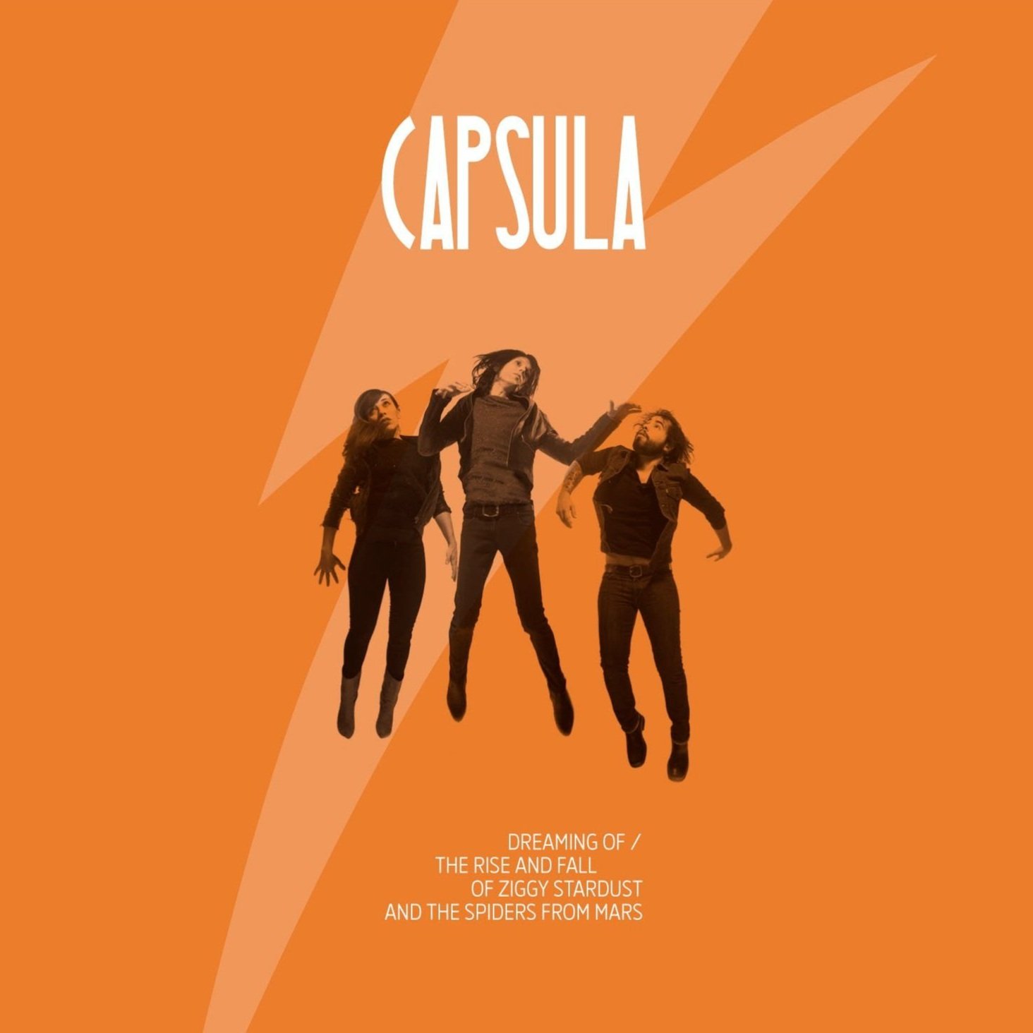 Capsula's Dreaming of Ziggy Stardust 1st edition CD packaging