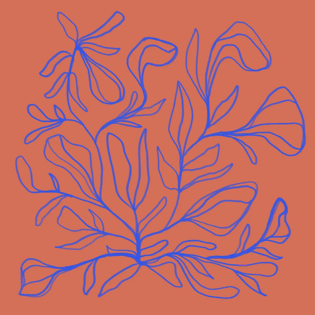 kt_2019_illos_3319.jpg