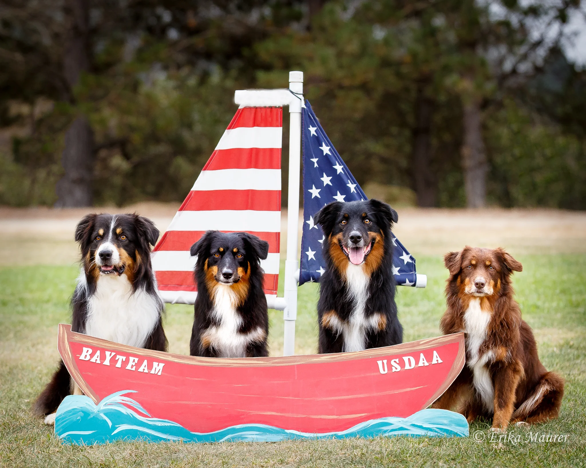 L to R: Taiko, Boca , Tug and Rubi