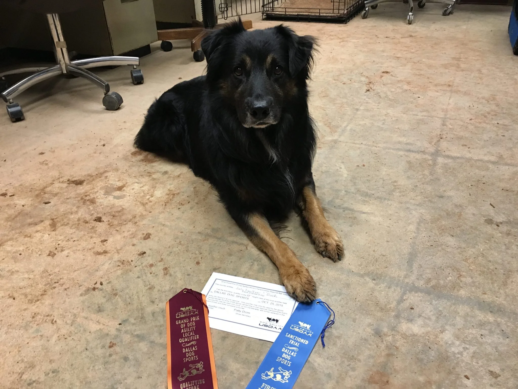 Looky here - Buck earned himself a GP Bye!