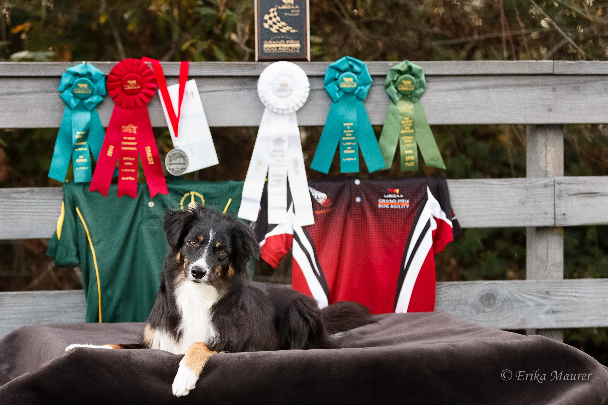 Elektra with her bling from the 2018 Cynosports