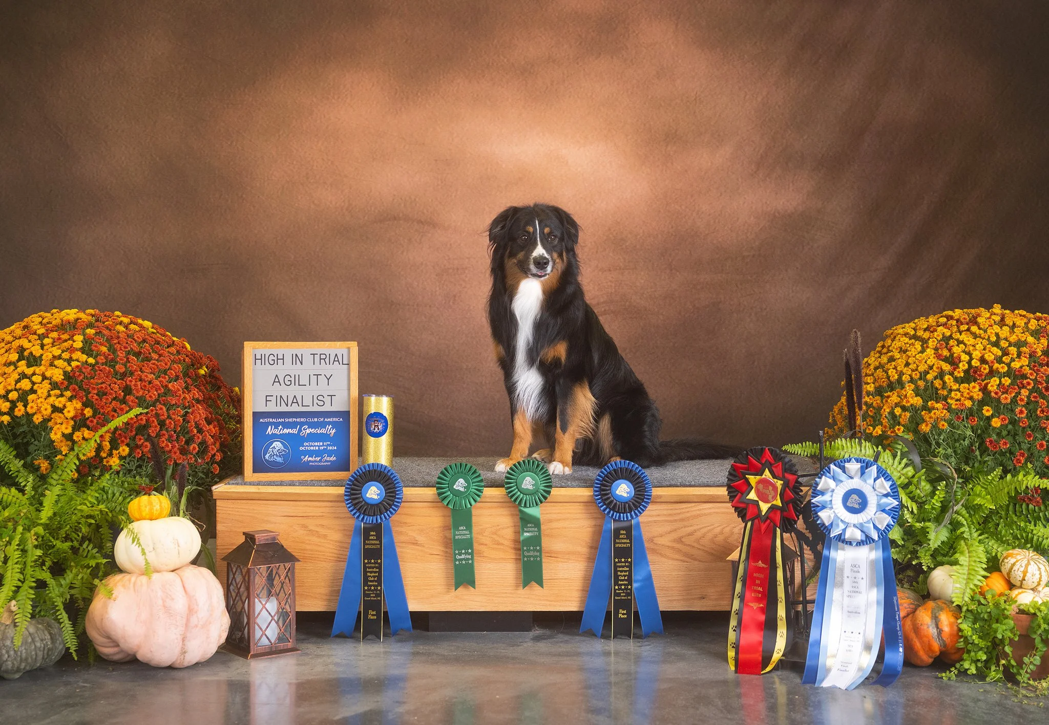 Tempo Amber Jade.jpg