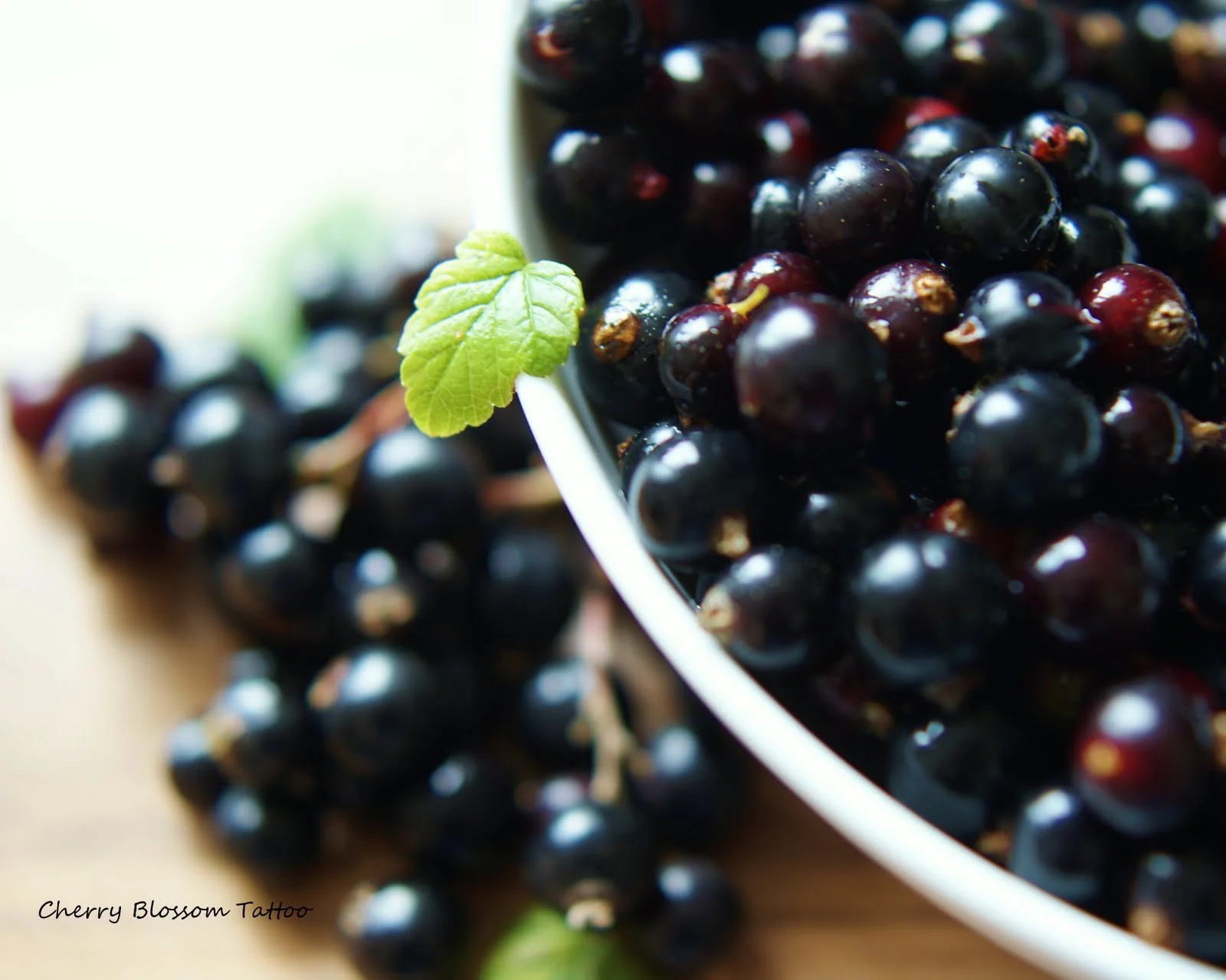 Blackcurrant Bonanza wm 8x10.JPG