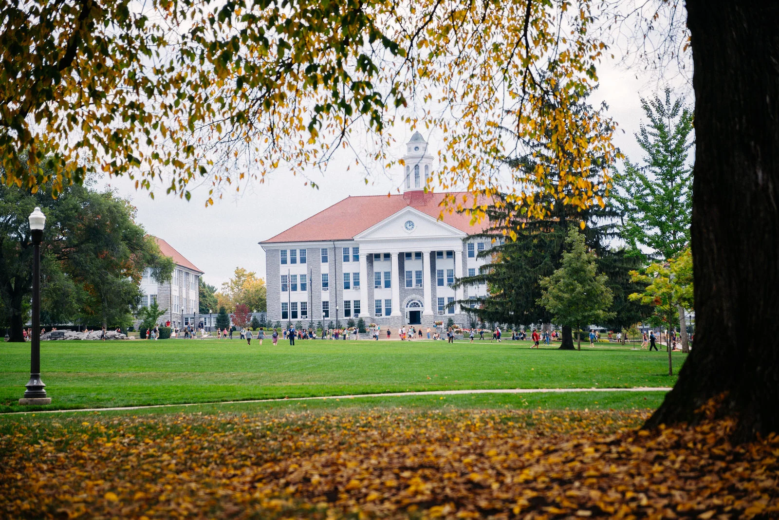 232151+Fall+Colors+on+the+Quad-1005.jpg