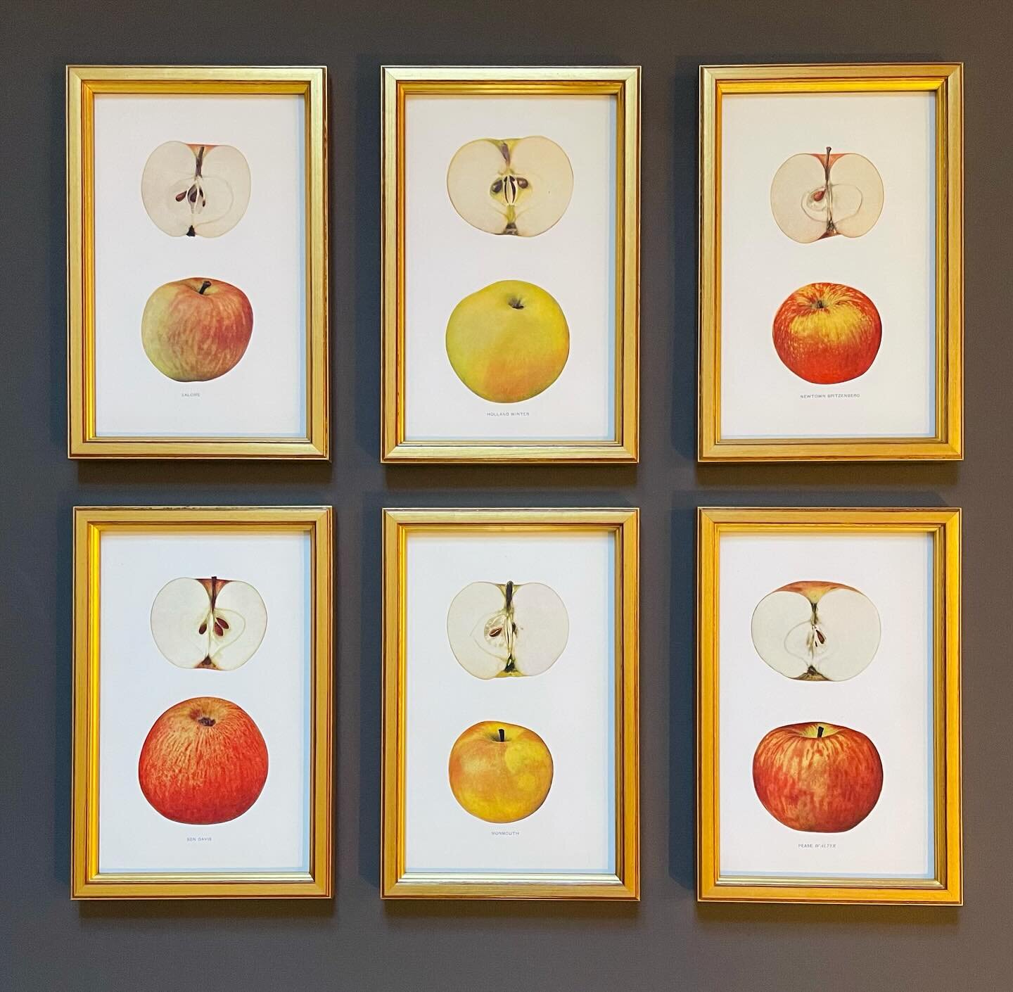 An apple a day&hellip; 🍎 Simply elegant engravings in #bellamoulding
-
#customframeshop #truvuemuseumglass #bedford #pictureframing #northernwestchester #bedfordvillagebuzz