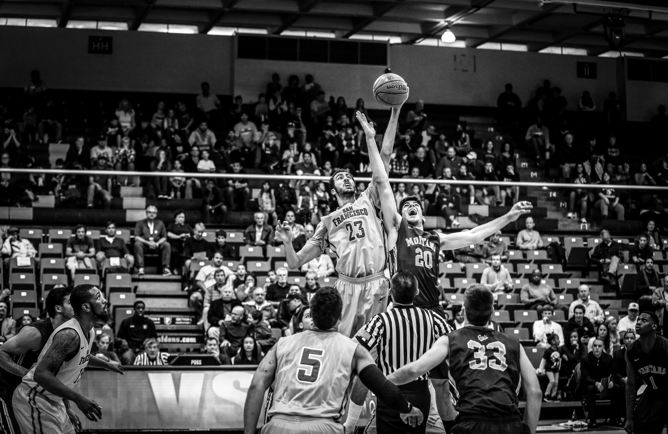USF MBB-5282.jpg