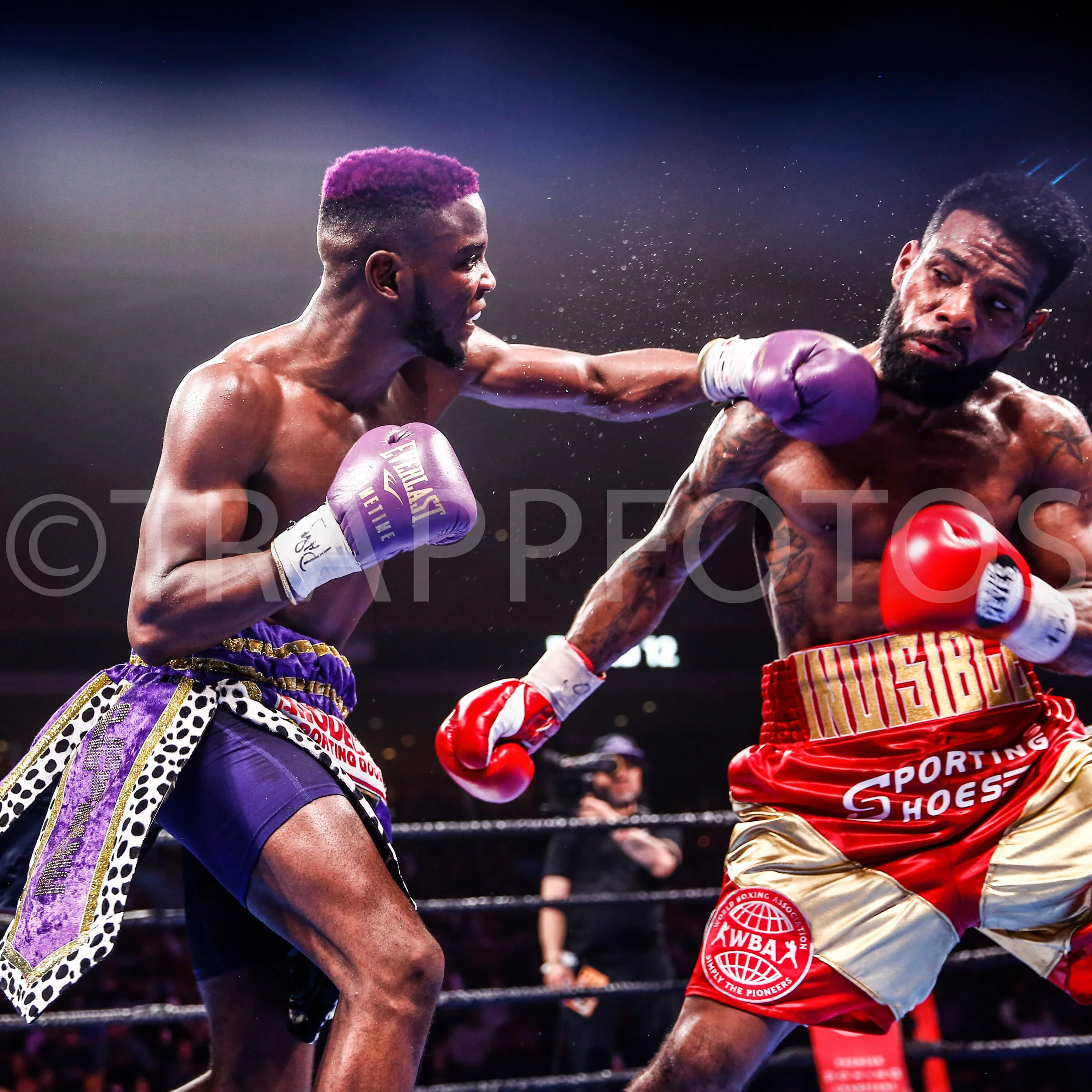 LR_CHRIS COLBERT-TRAPPFOTOS-JAN2020-0744.jpg