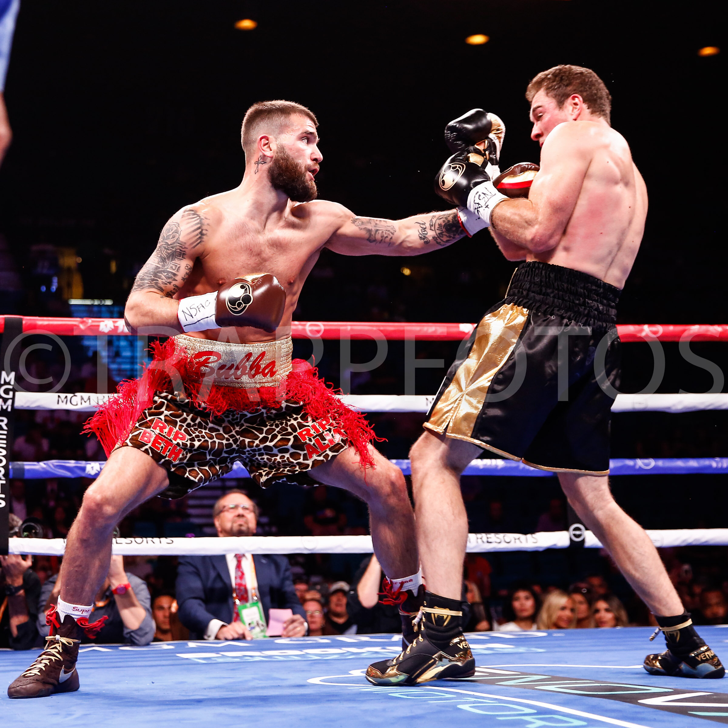 LR_CALEB PLANT-TRAPPFOTOS-JAN2020-4037.jpg