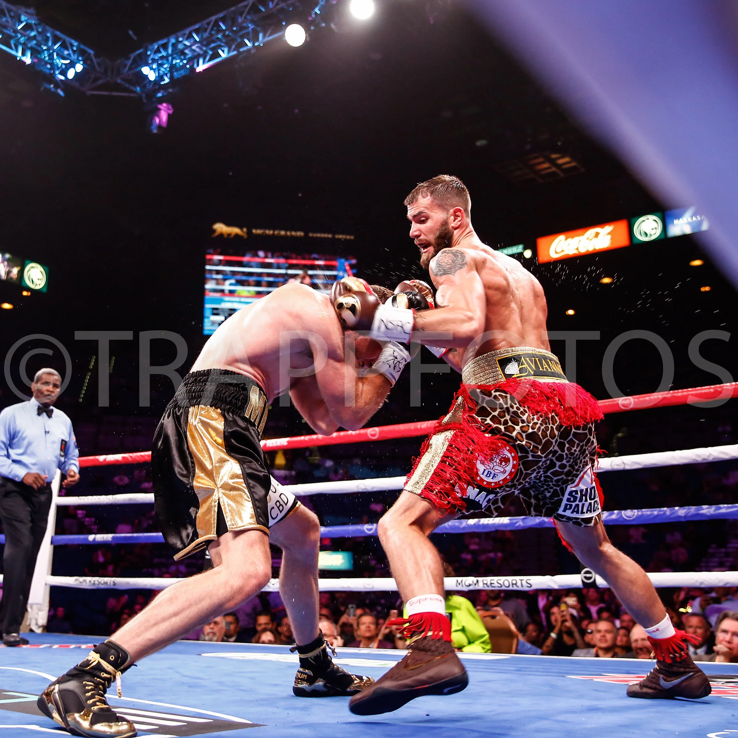 LR_CALEB PLANT-TRAPPFOTOS-JAN2020-4249.jpg