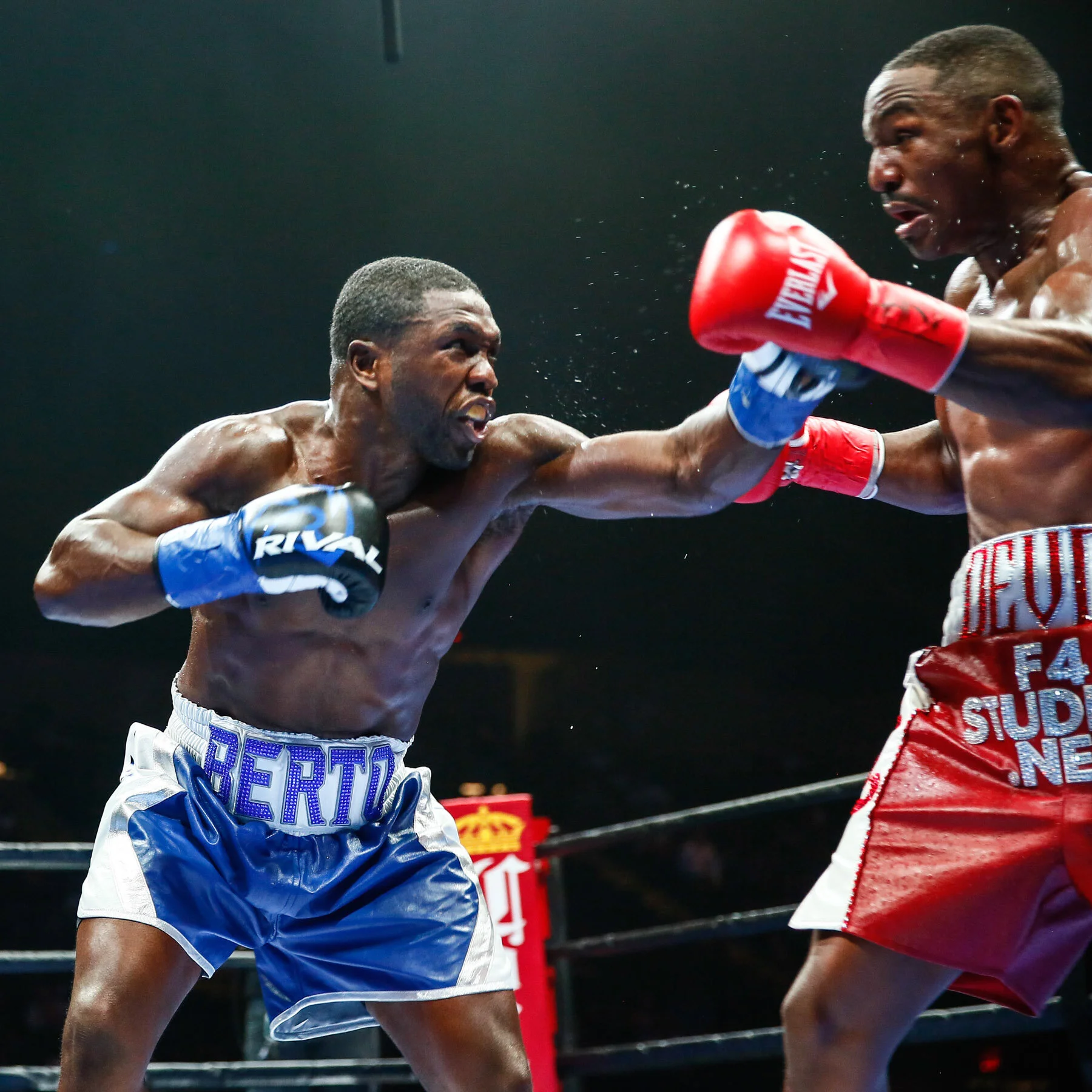 LR_ANDRE BERTO-TRAPPFOTOS-3100.jpg
