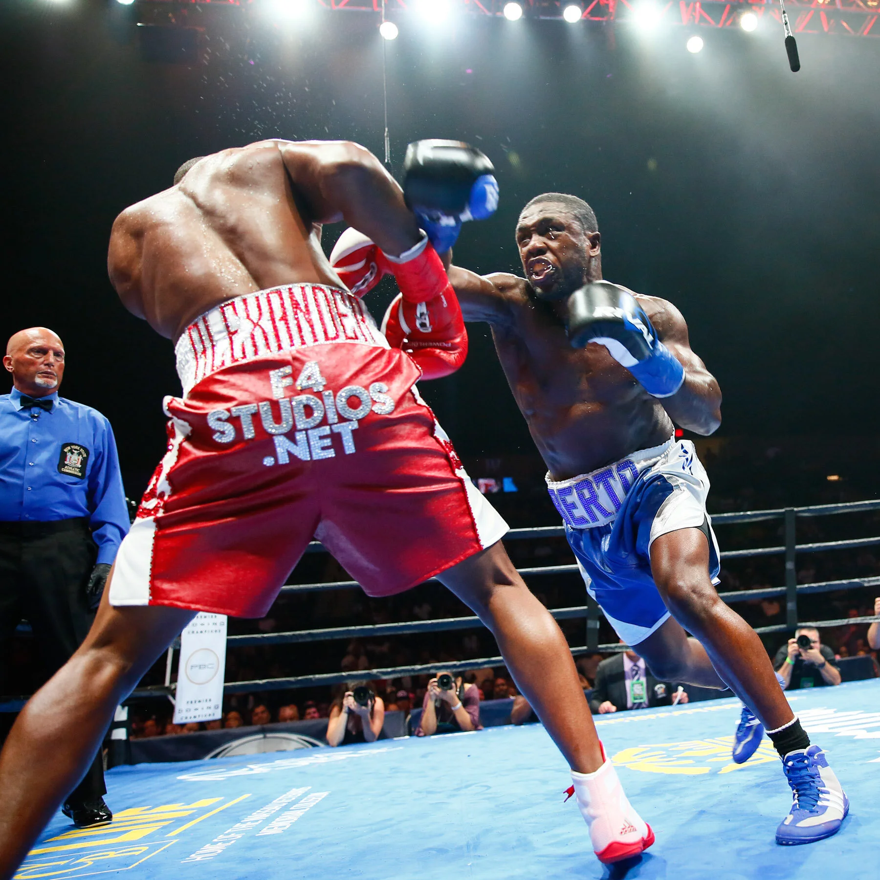 LR_ANDRE BERTO-TRAPPFOTOS-3120.jpg