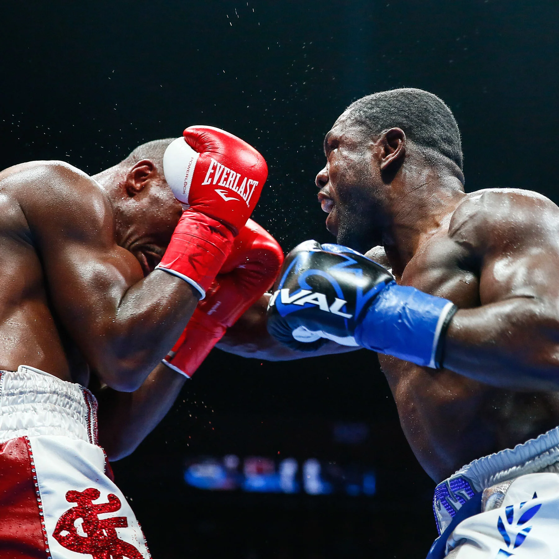 LR_ANDRE BERTO-TRAPPFOTOS-3351.jpg