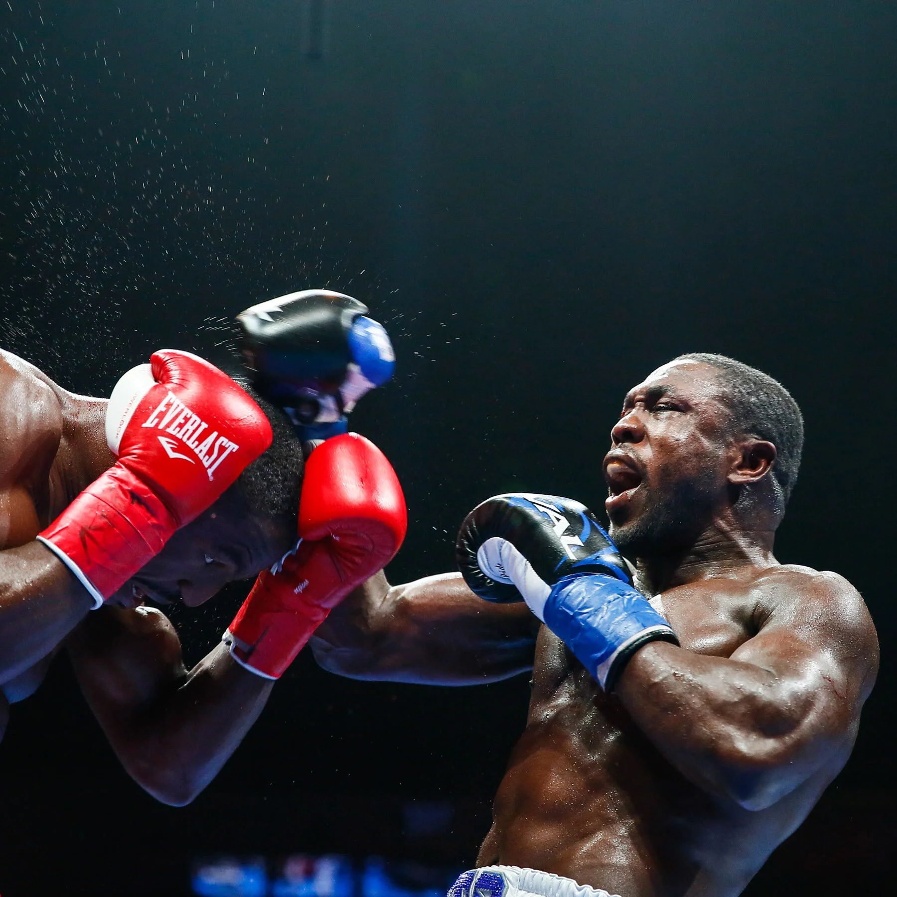 LR_ANDRE BERTO-TRAPPFOTOS-3353.jpg