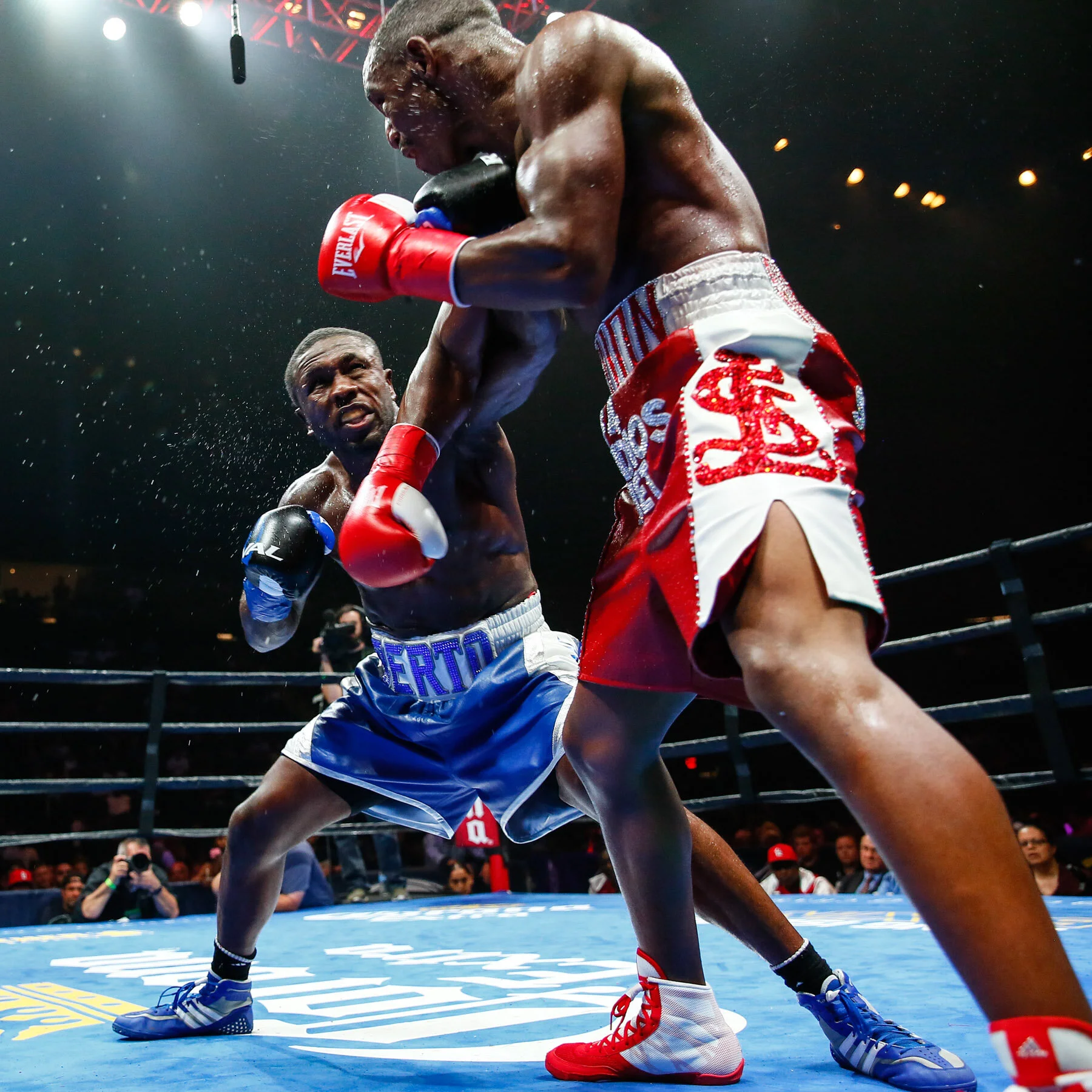 LR_ANDRE BERTO-TRAPPFOTOS-3617.jpg