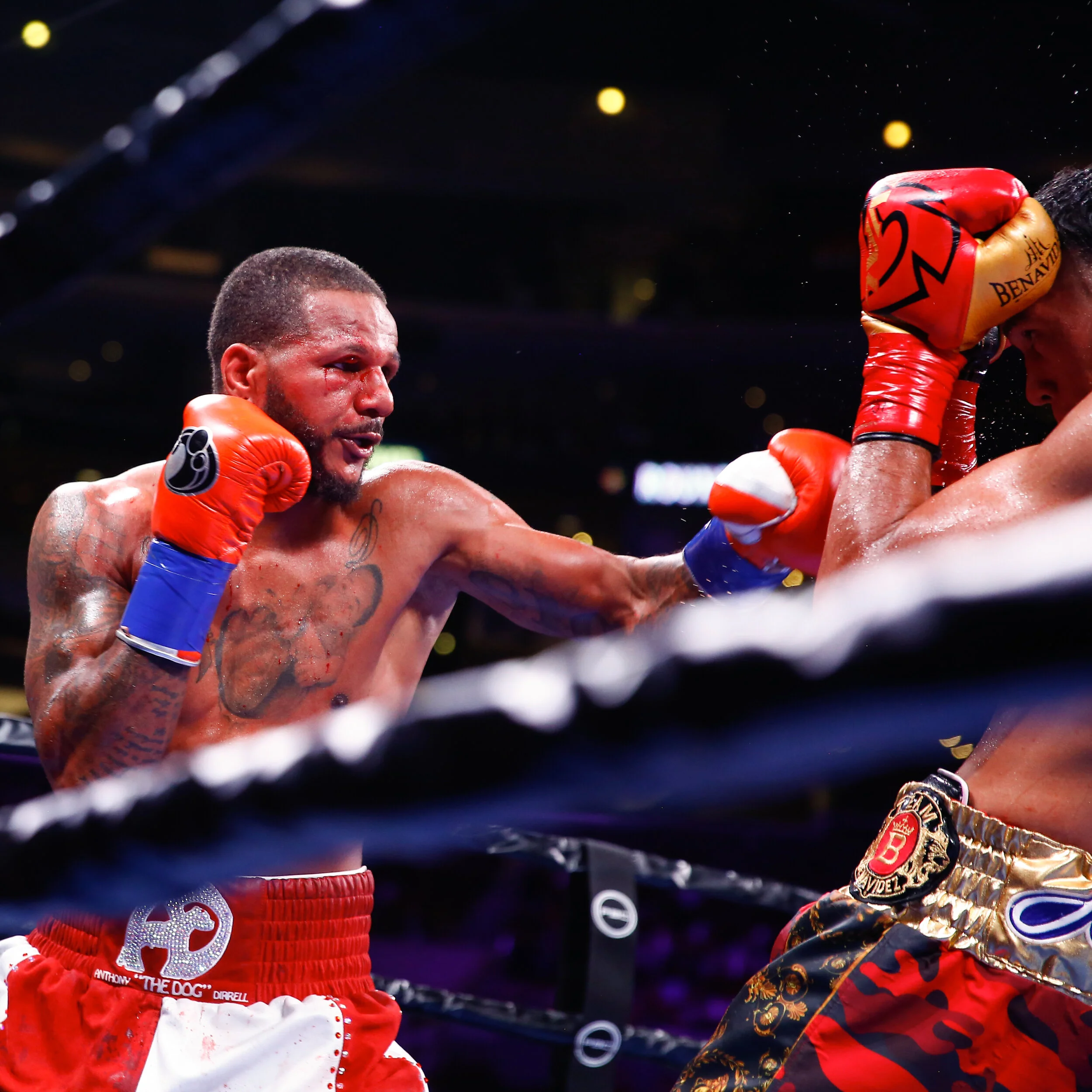 HR_ANTHONY DIRRELL-TRAPPFOTOS-SEPT2019-1984.jpg