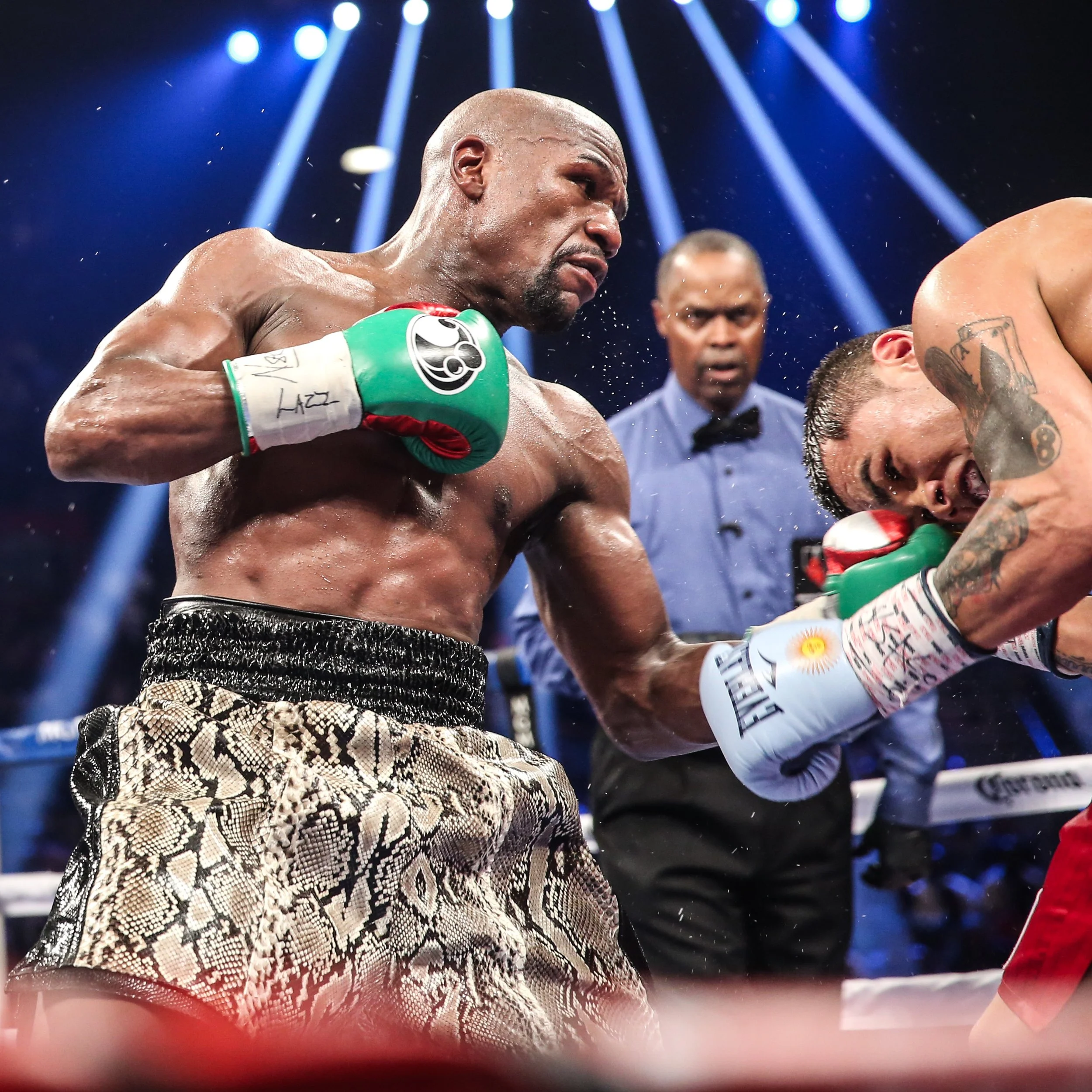 HR_FOR SALE-MAYWEATHER VS MAIDANA-TRAPPFOTOS-5252-2.jpg