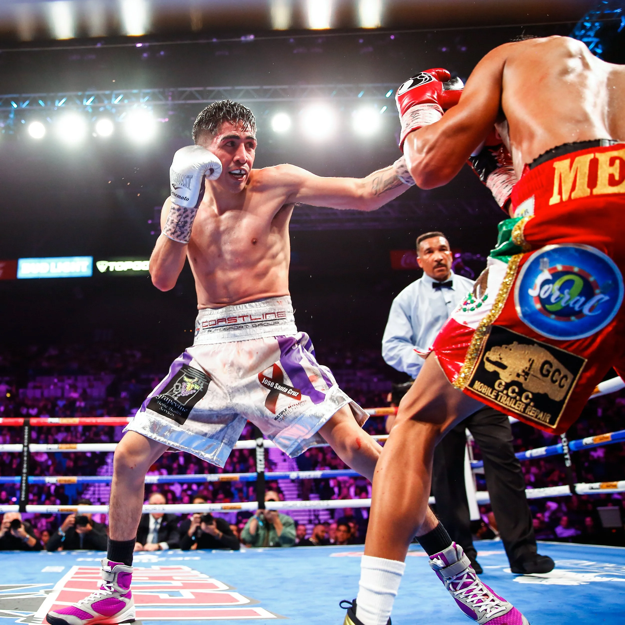 HR_FOR SALE ON WEBSITE-LEO SANTA CRUZ-TRAPPFOTOS-.jpg