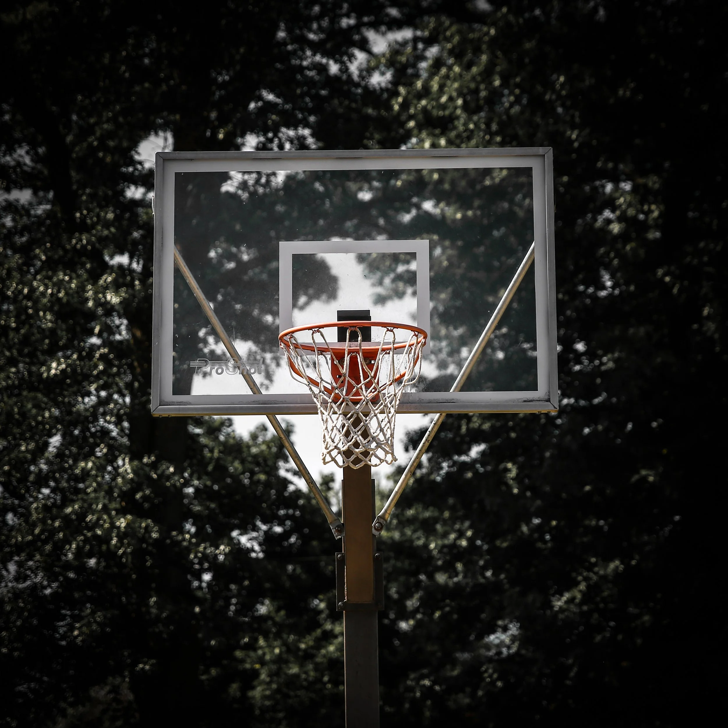 FOR SALE-BASKETBALL-TRAPPFOTOS-JUNE2026-3917-2.jpg