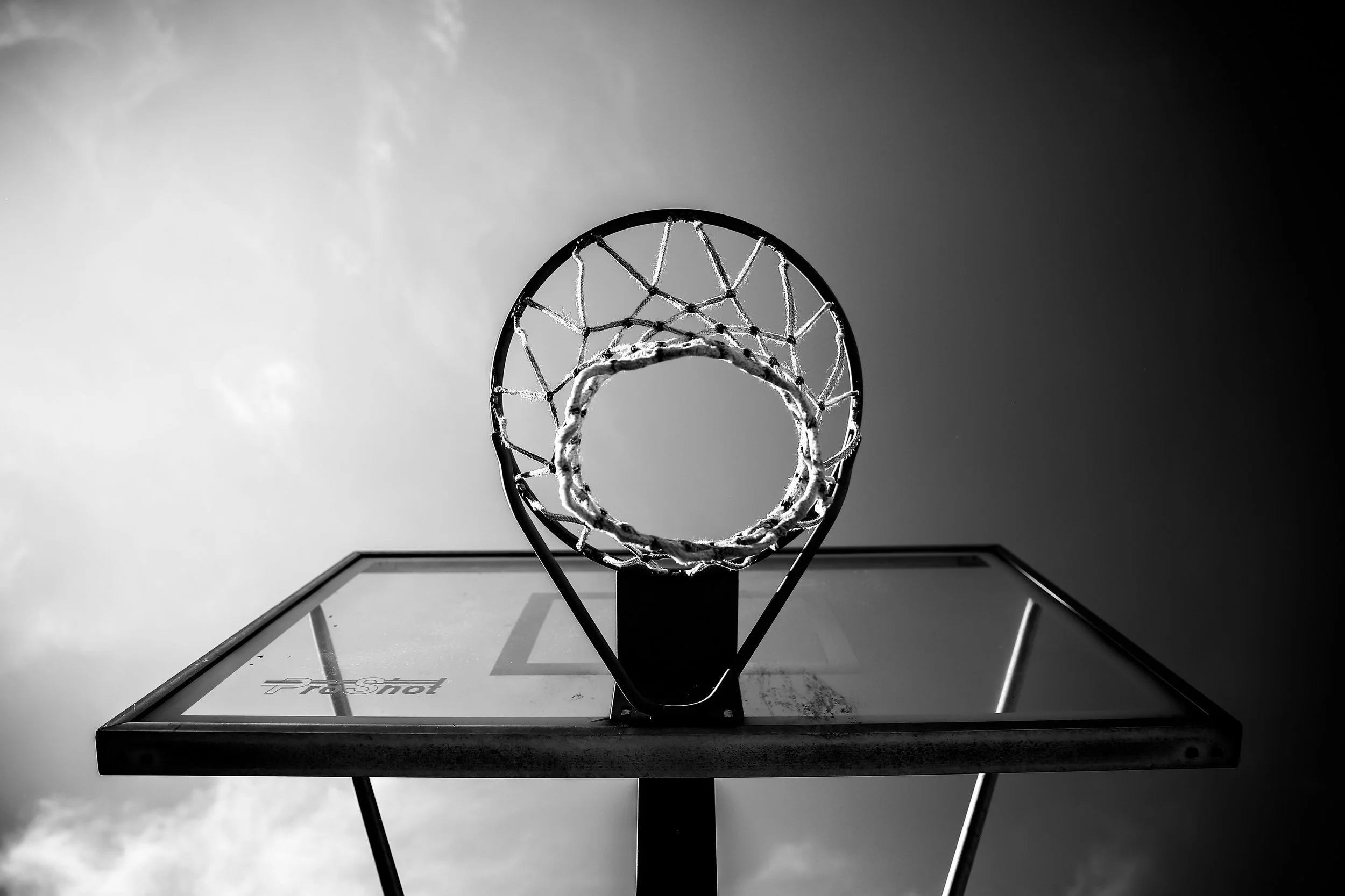 FOR SALE-BASKETBALL-TRAPPFOTOS-JUNE2026-3920.jpg