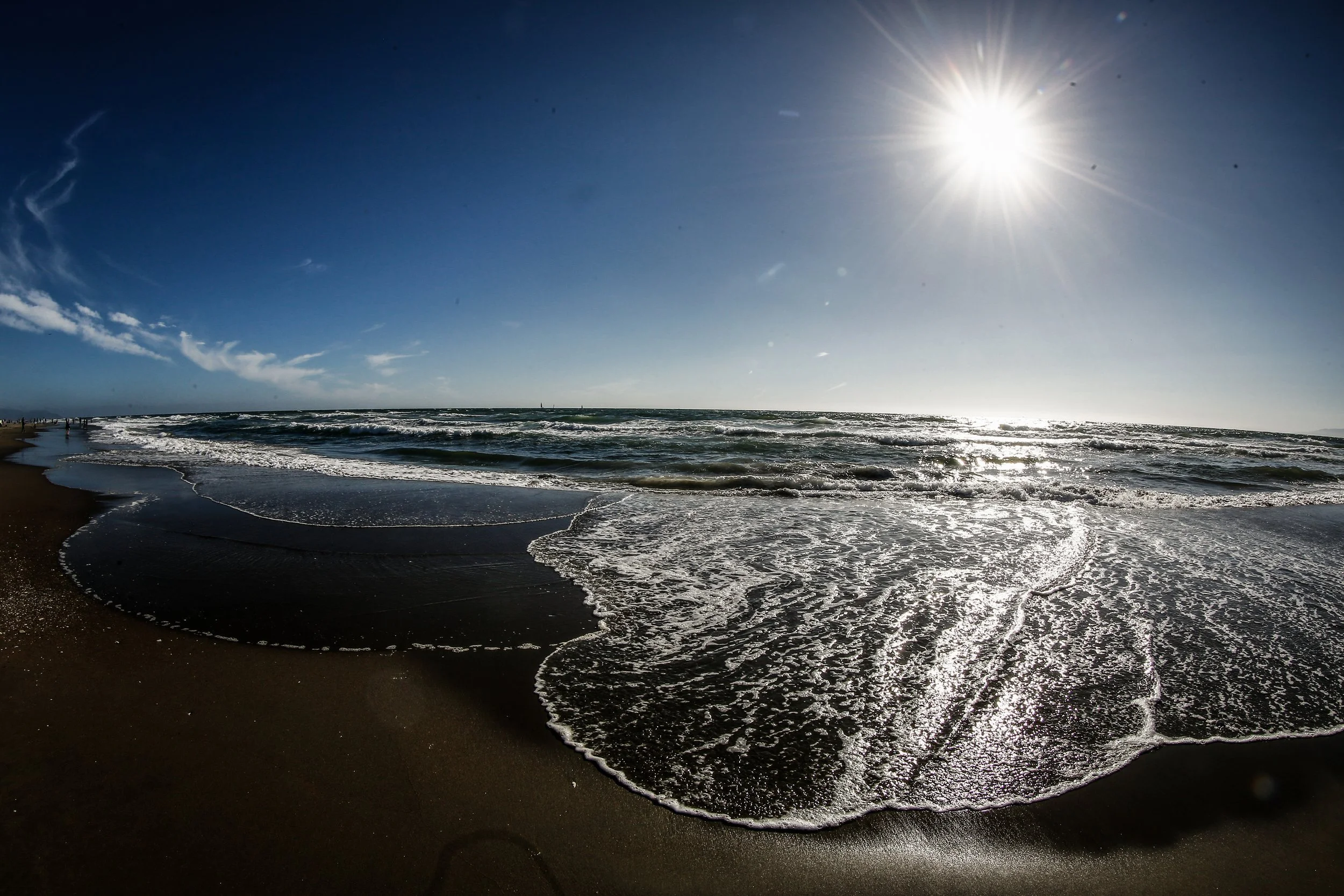 HR_FOR SALE-OCEAN BEACH-TRAPPFOTOS-JUNE2020-9210-2.JPG