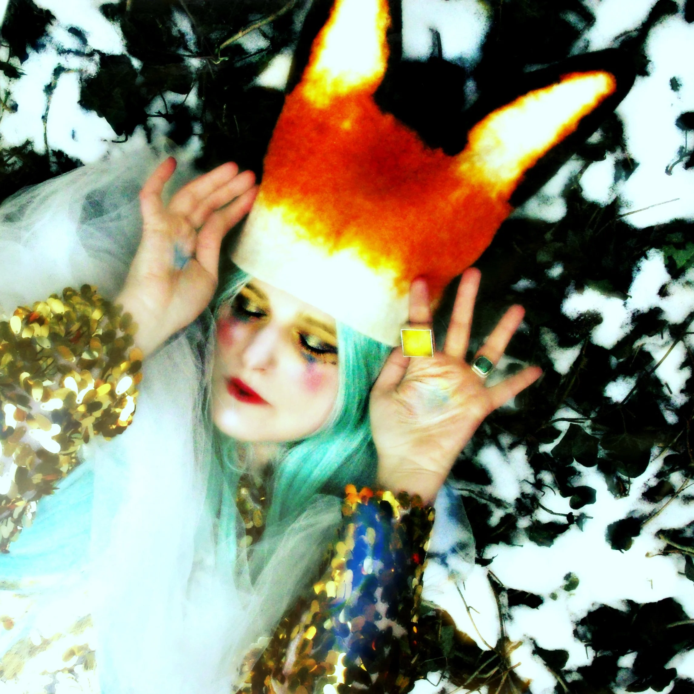 Fox Spring