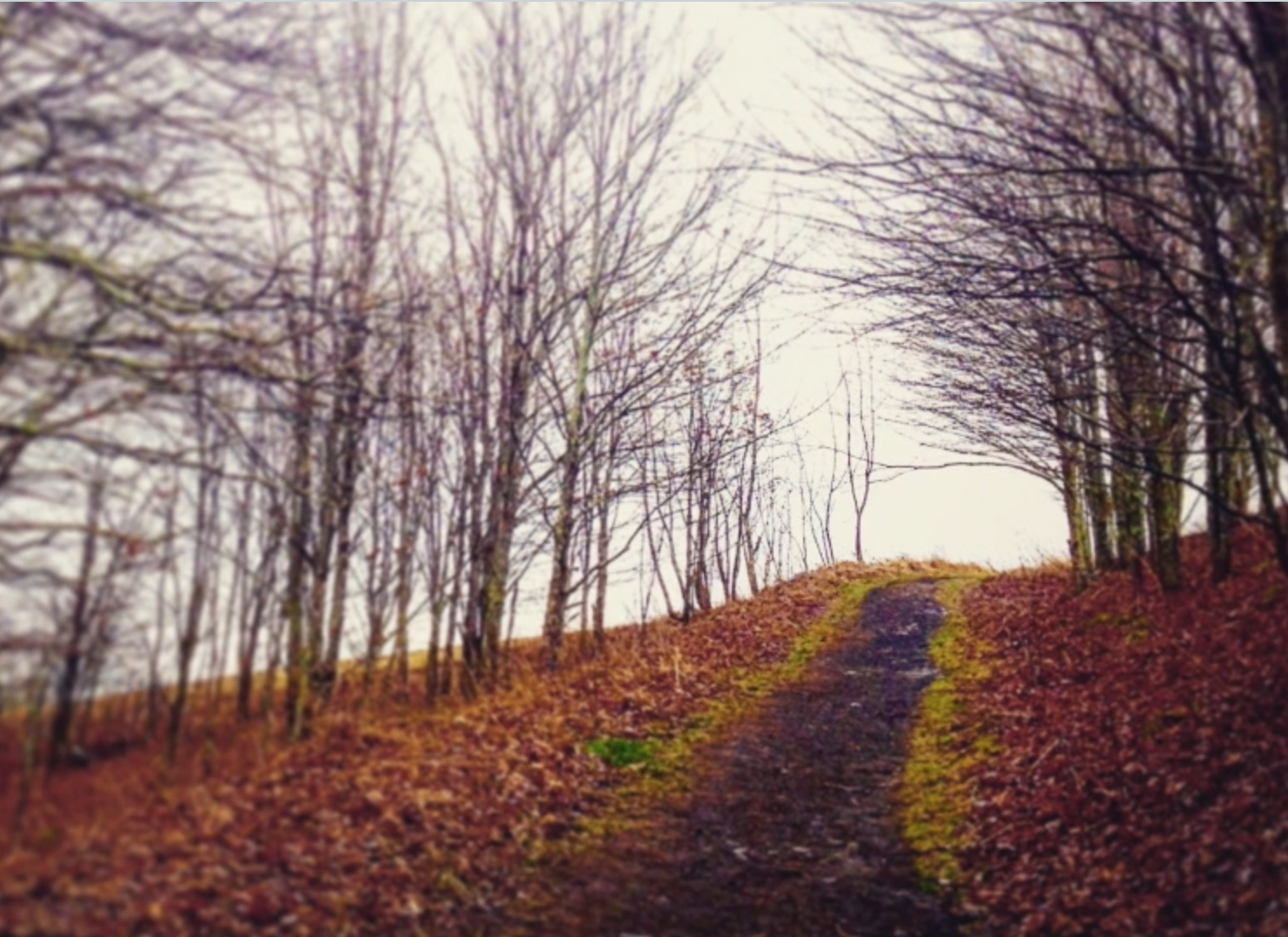 Real Conversations with God 