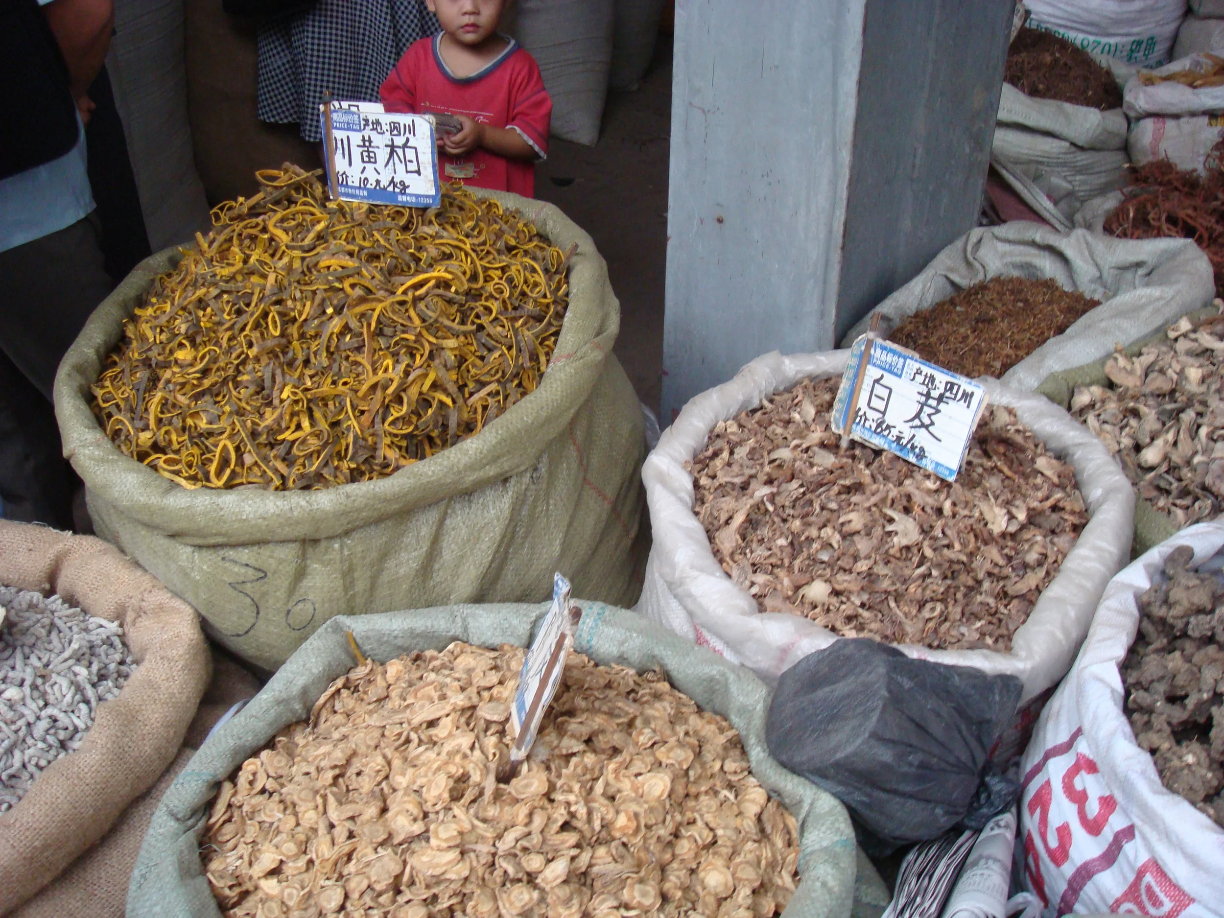 Chengdu Herb.jpg