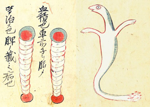 Kan-no-mushi (on the right) from the Harikikigaki