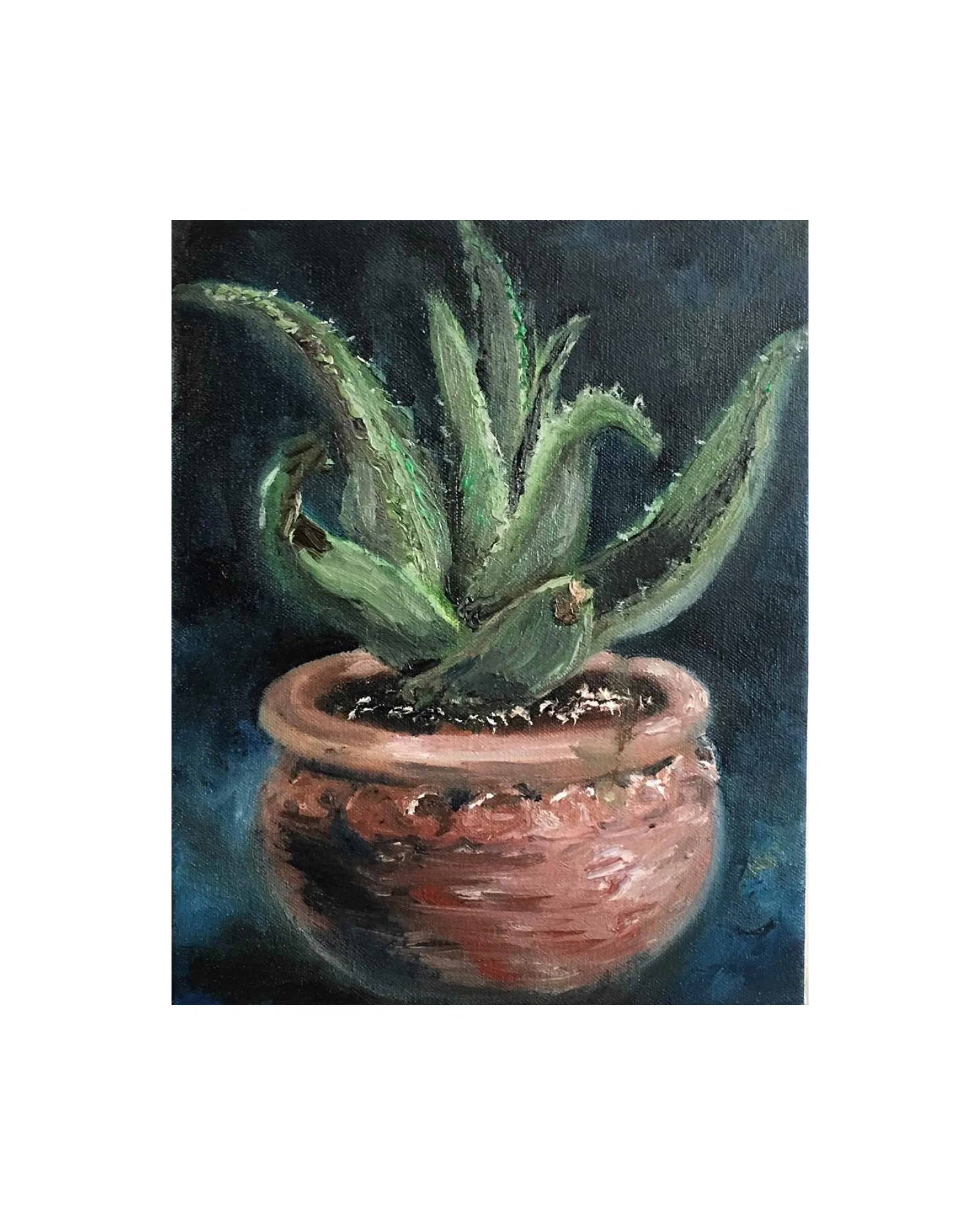 Aloe.jpg